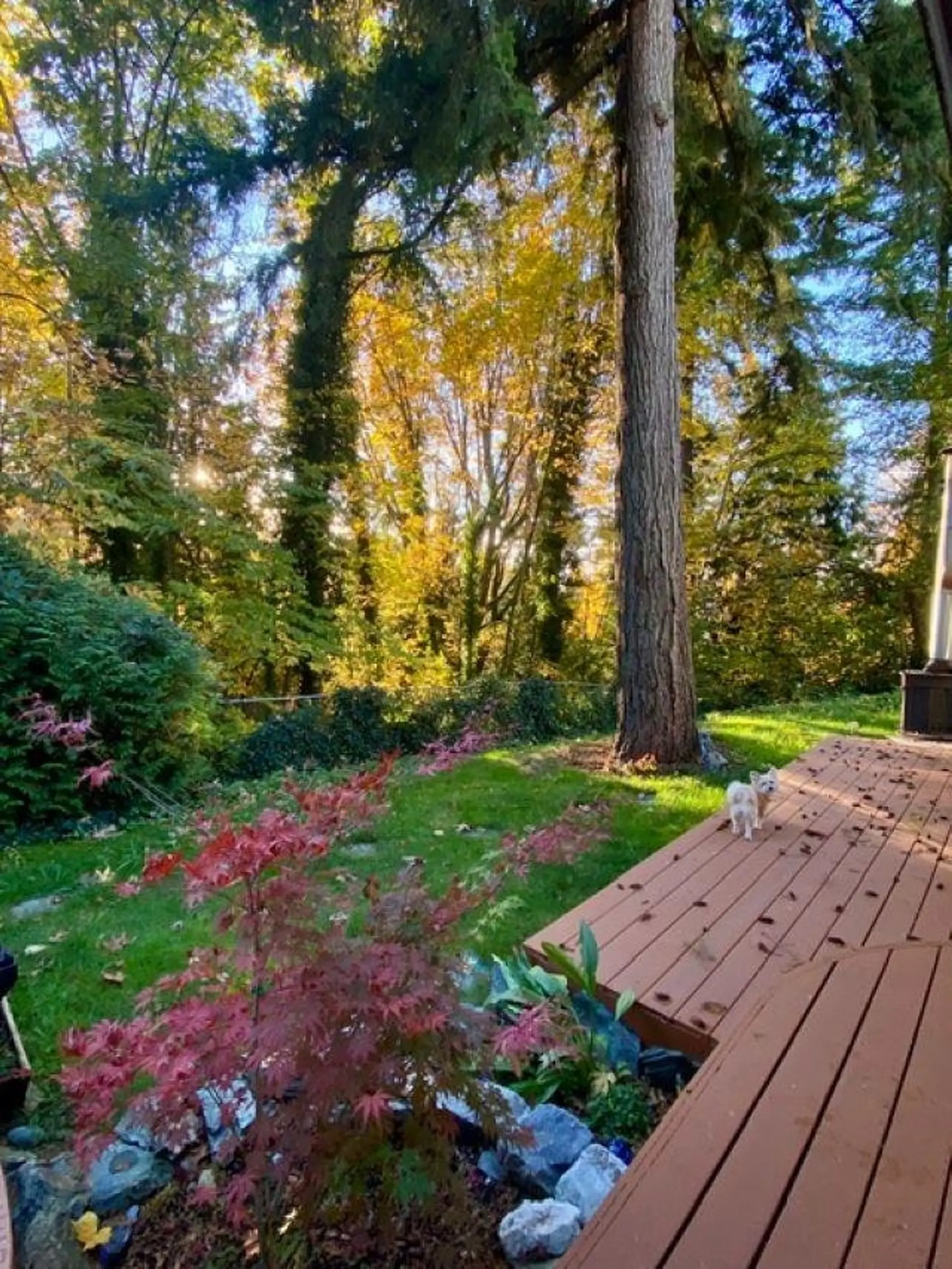 Property at 10987 COLLINGS PLACE, Delta, BC