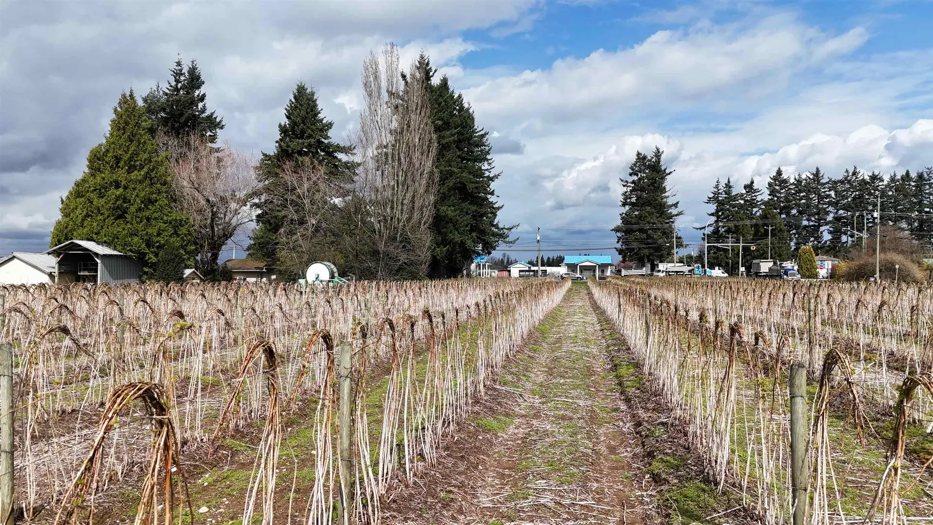 Property at 31964 HUNTINGDON ROAD, Abbotsford, BC