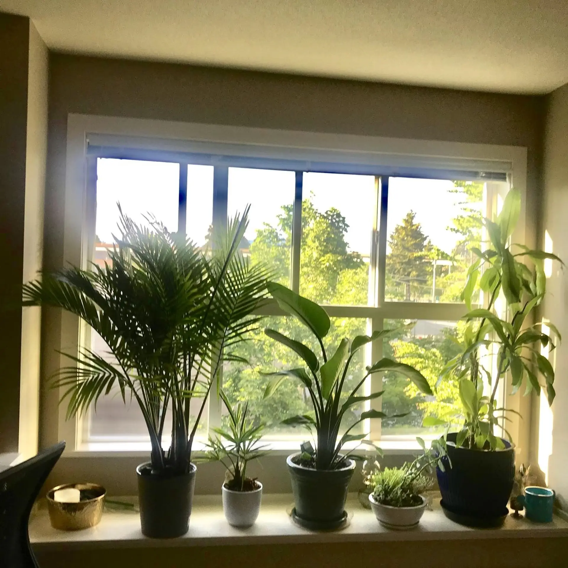 Property at #314 5889 IRMIN STREET, Burnaby, BC