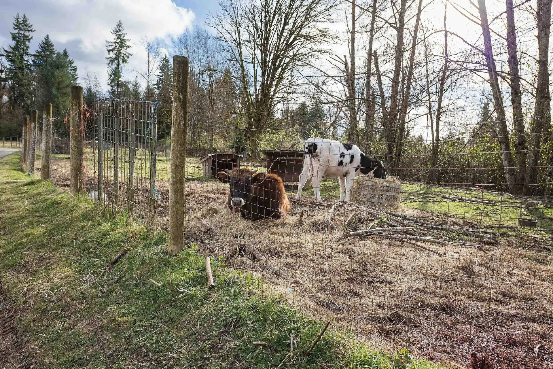 Property at 19607 80 AVENUE, Langley, BC