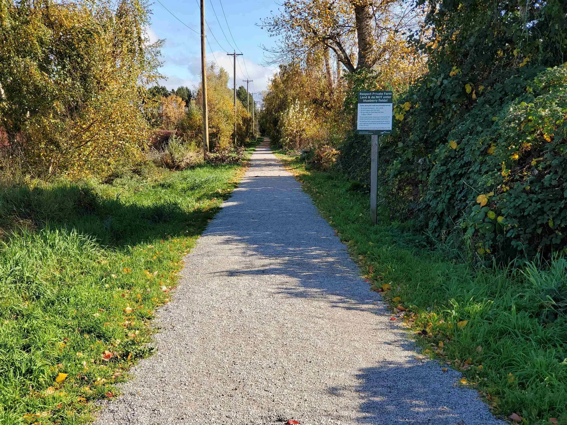 Property at 10133 FRANCIS ROAD, Richmond, BC