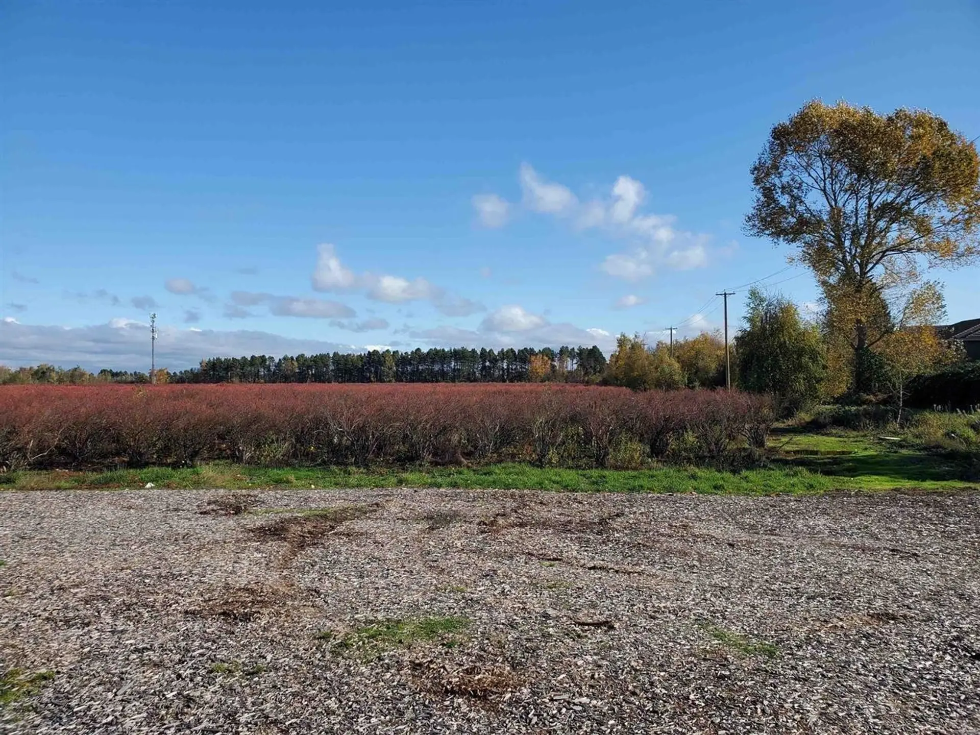 Property at 10133 FRANCIS ROAD, Richmond, BC