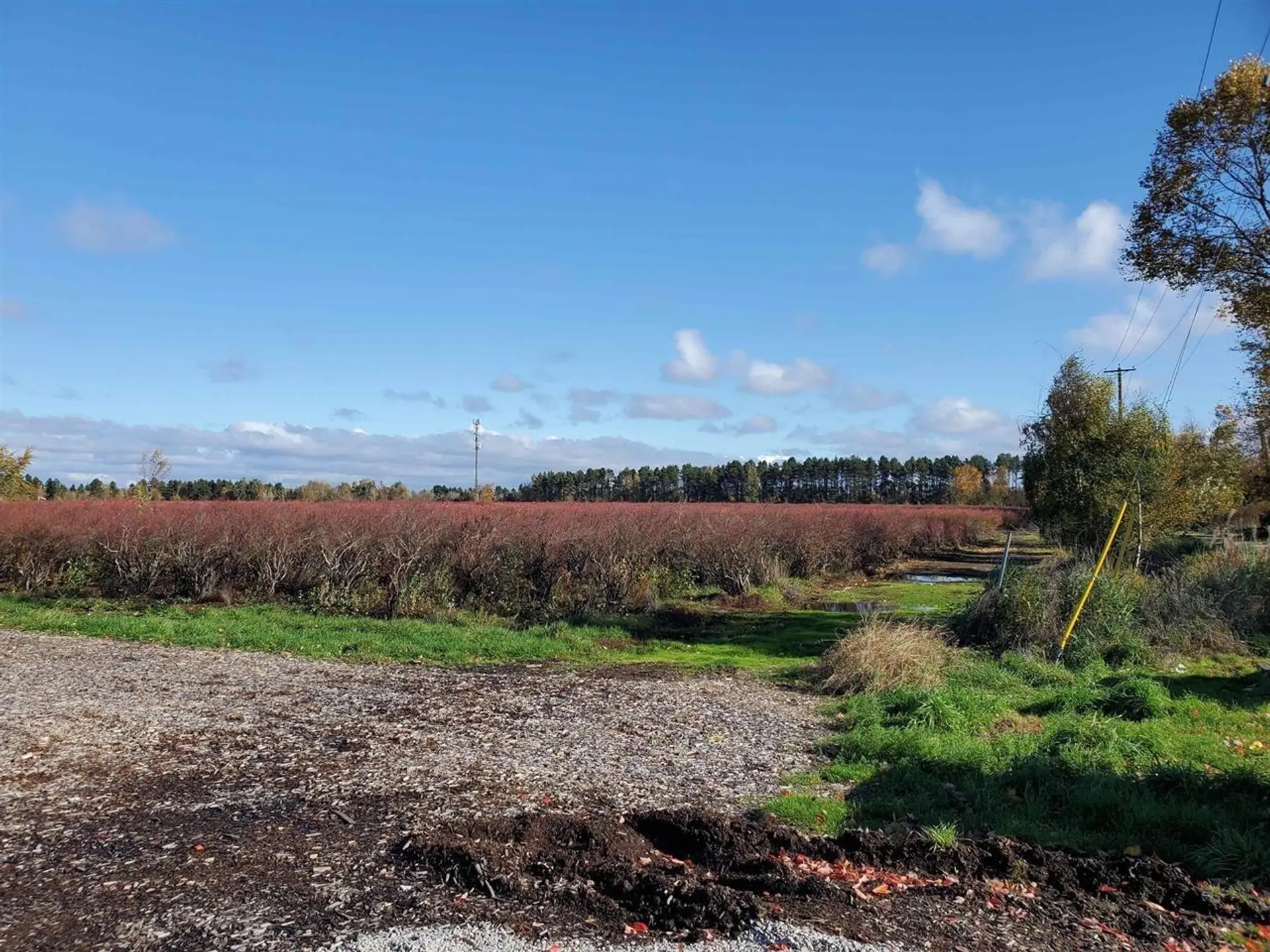 Property at 10133 FRANCIS ROAD, Richmond, BC