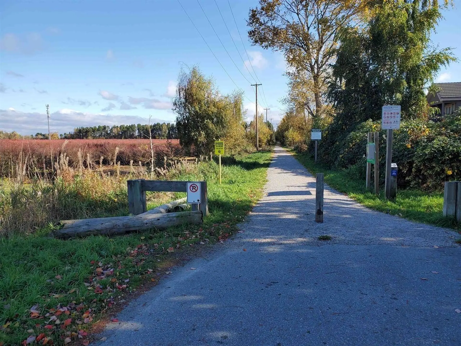 Property at 10133 FRANCIS ROAD, Richmond, BC