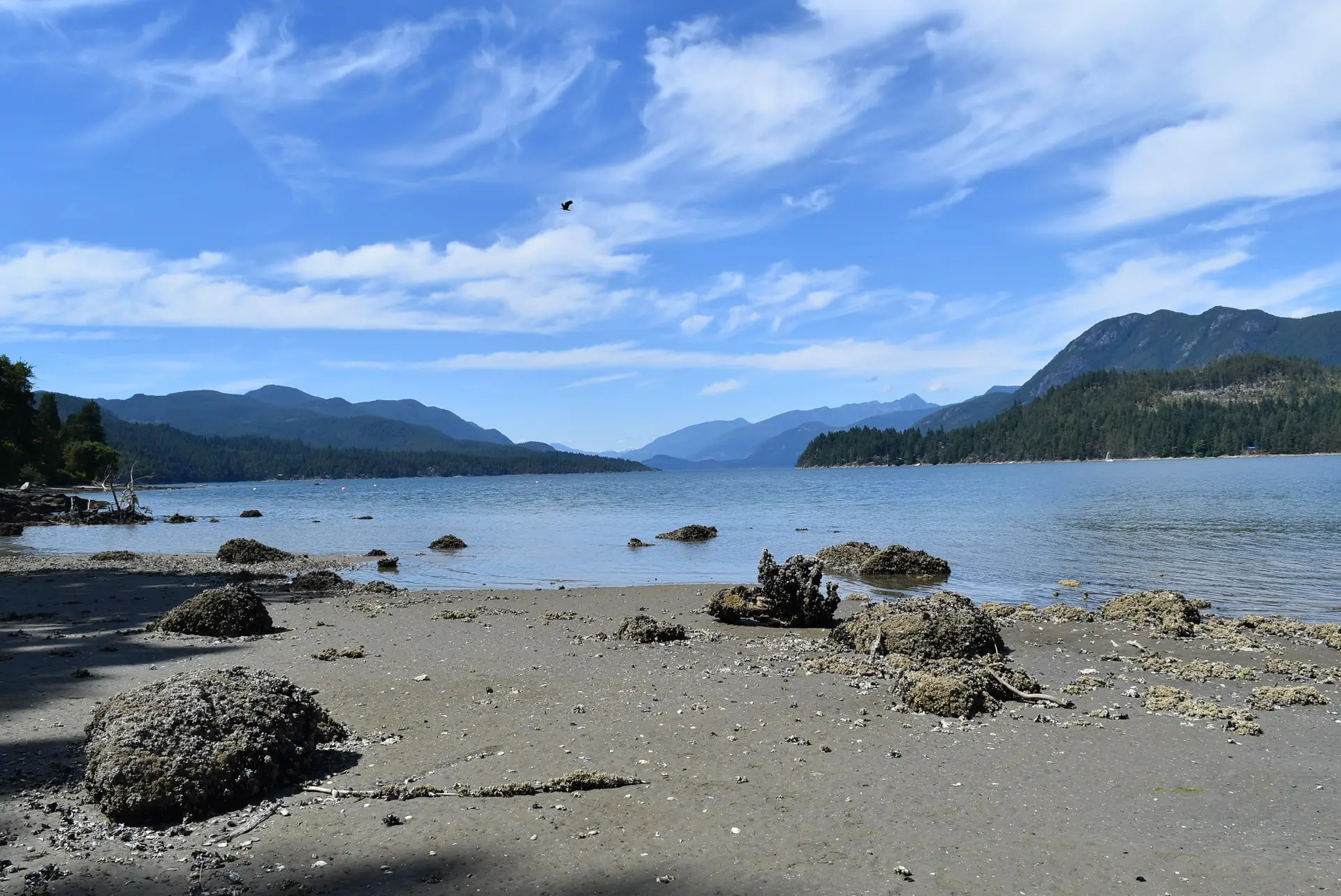Property at LOT 18 N GALE AVENUE, Sechelt, BC