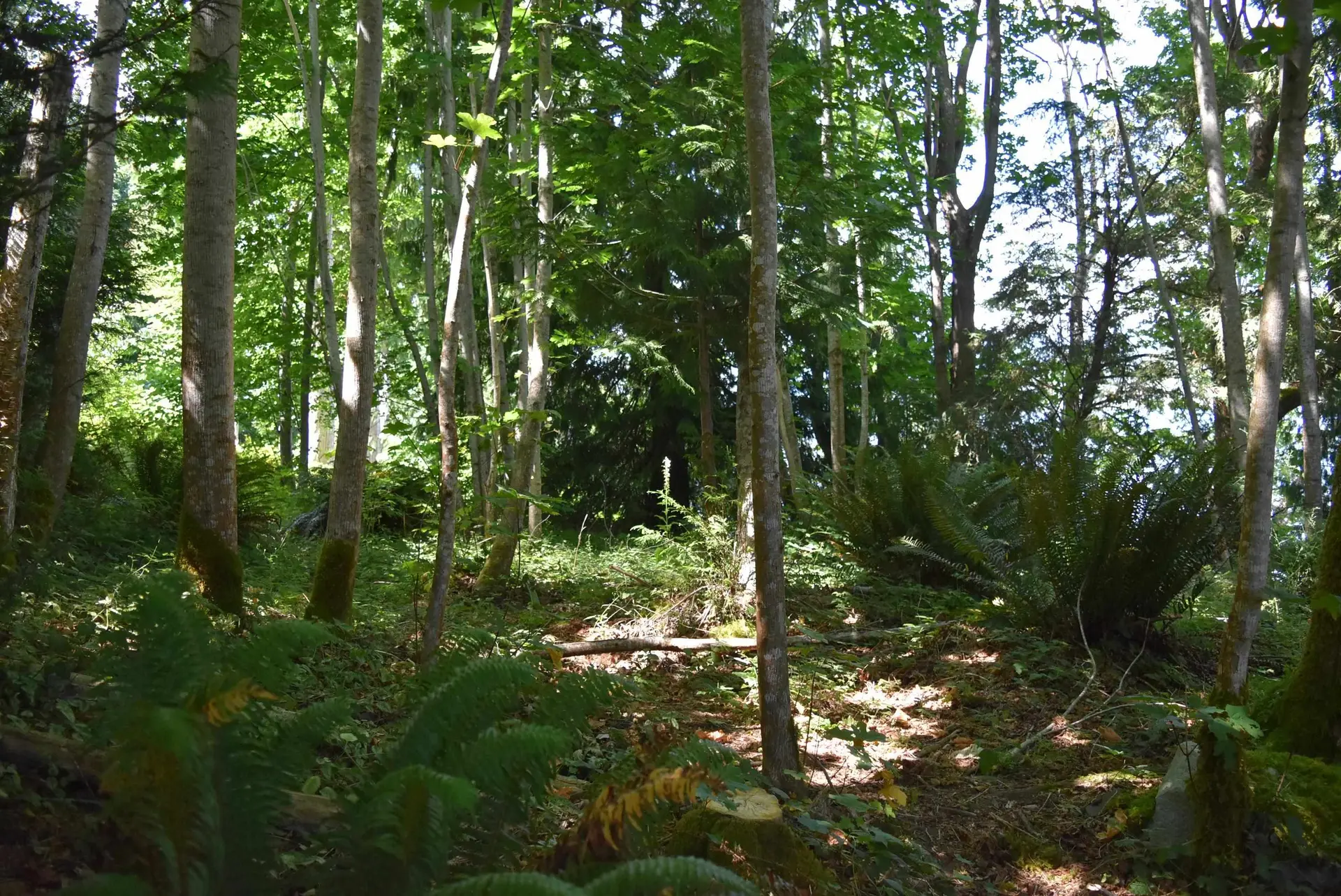 Property at LOT 18 N GALE AVENUE, Sechelt, BC