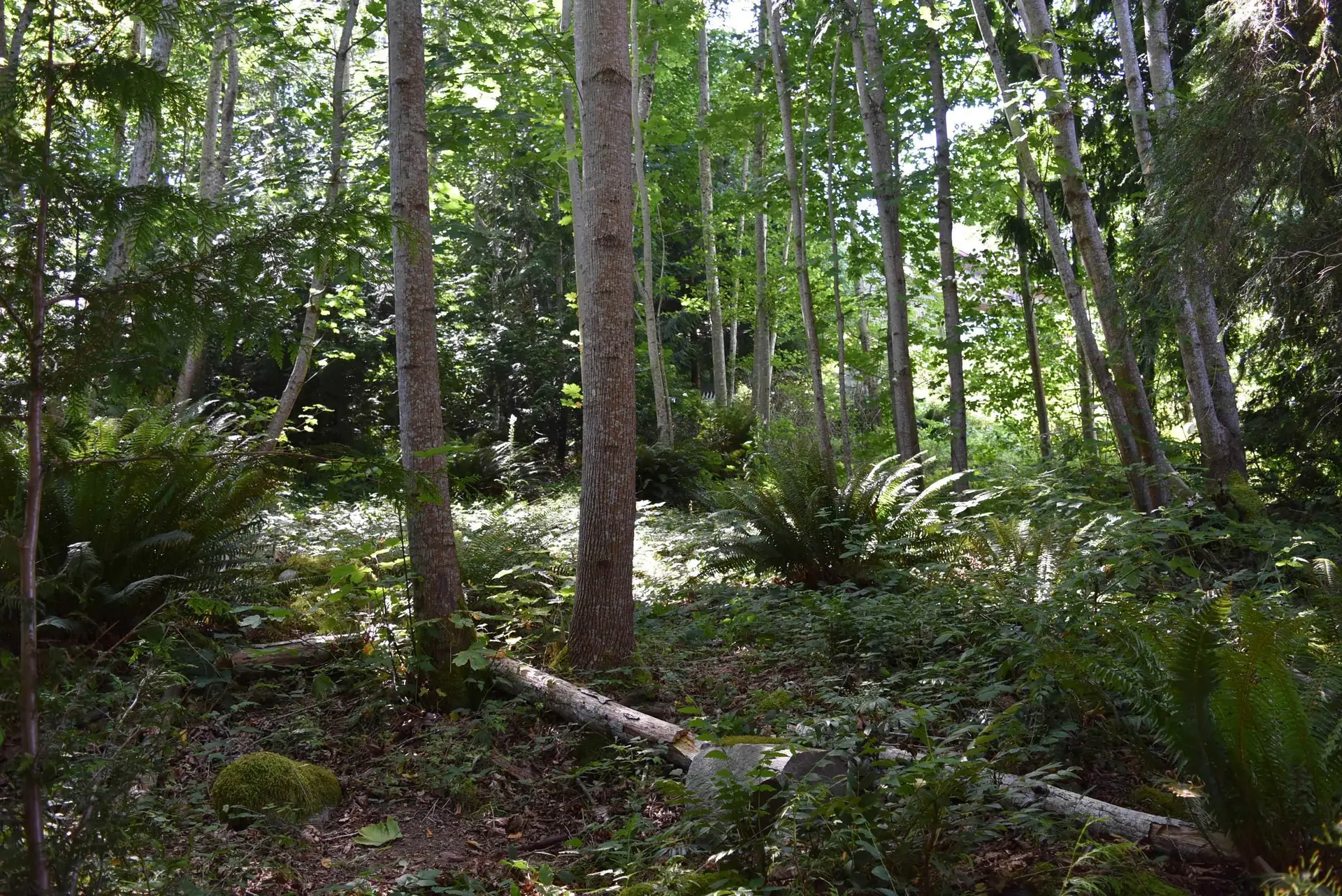 Property at LOT 18 N GALE AVENUE, Sechelt, BC