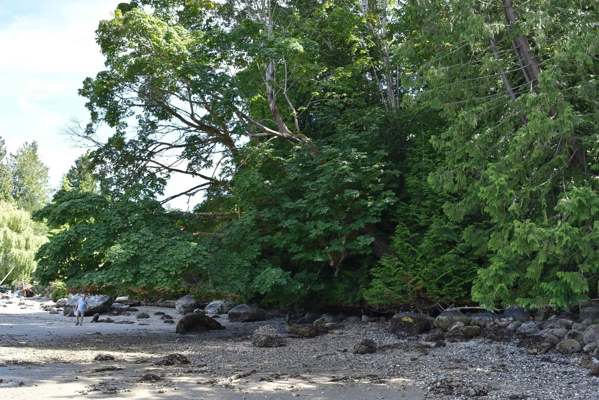 Property at LOT 18 N GALE AVENUE, Sechelt, BC