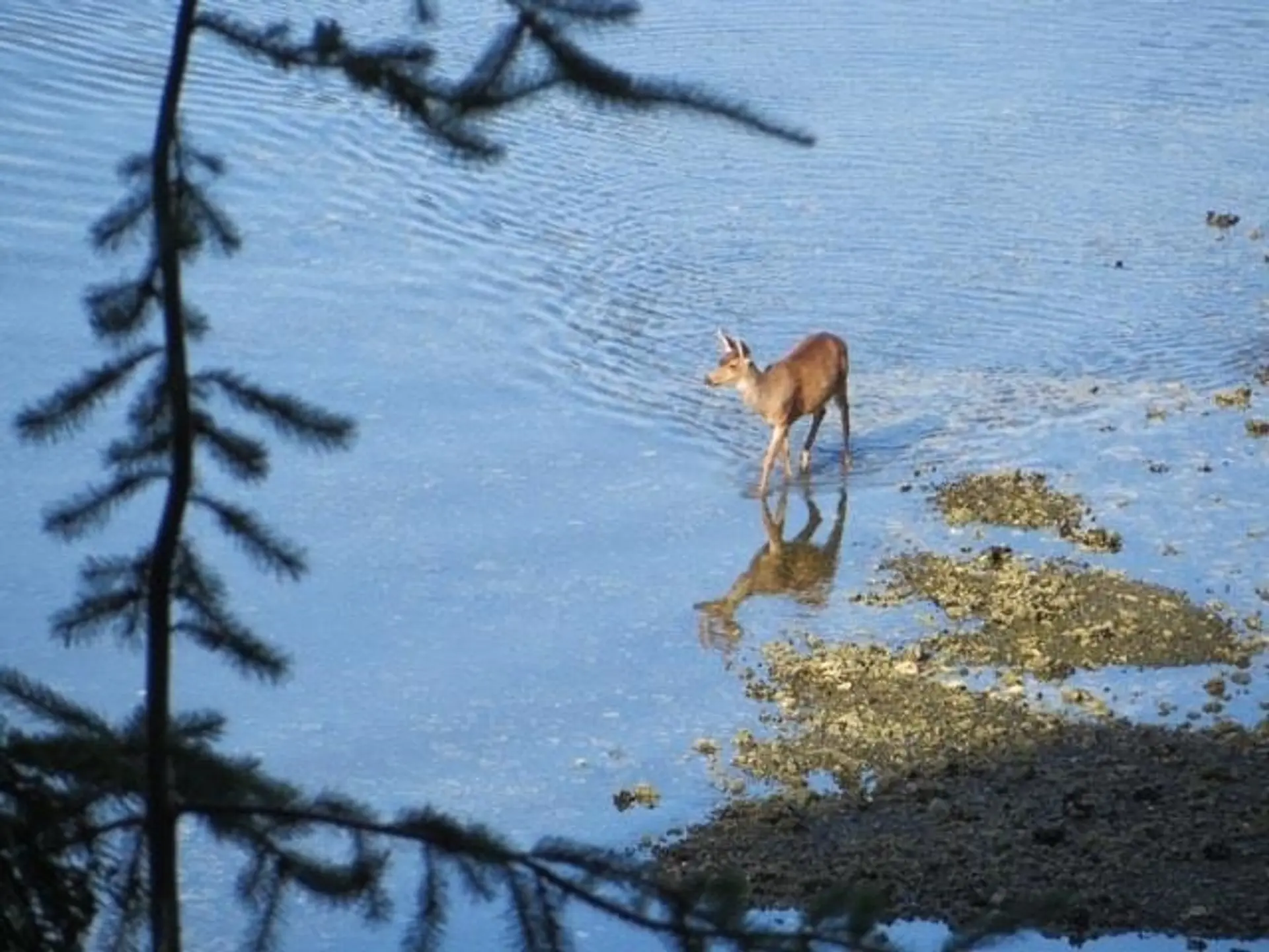 Property at LOT 26 WEST BAY LANDING, Gambier Island, BC