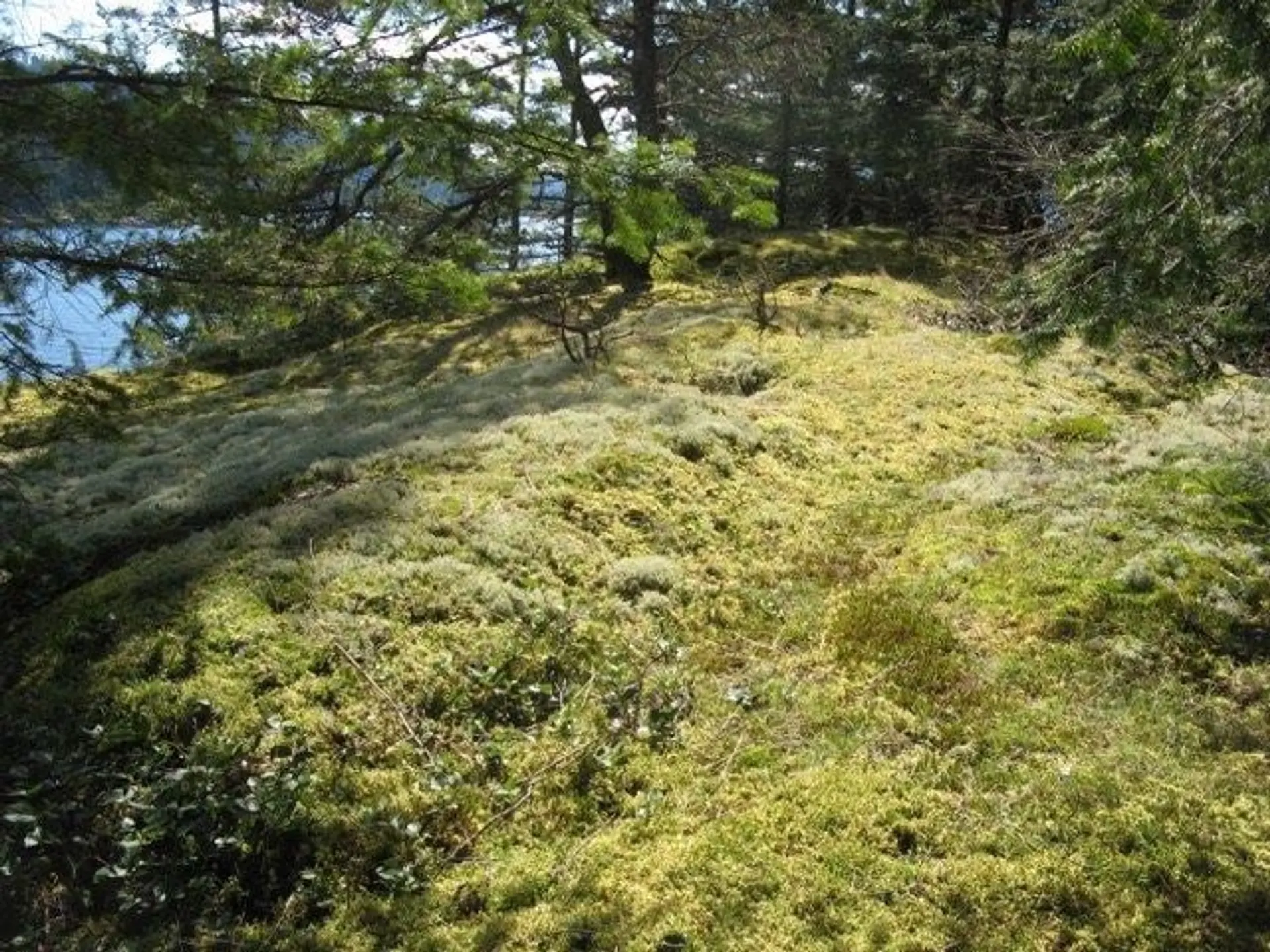 Property at LOT 26 WEST BAY LANDING, Gambier Island, BC