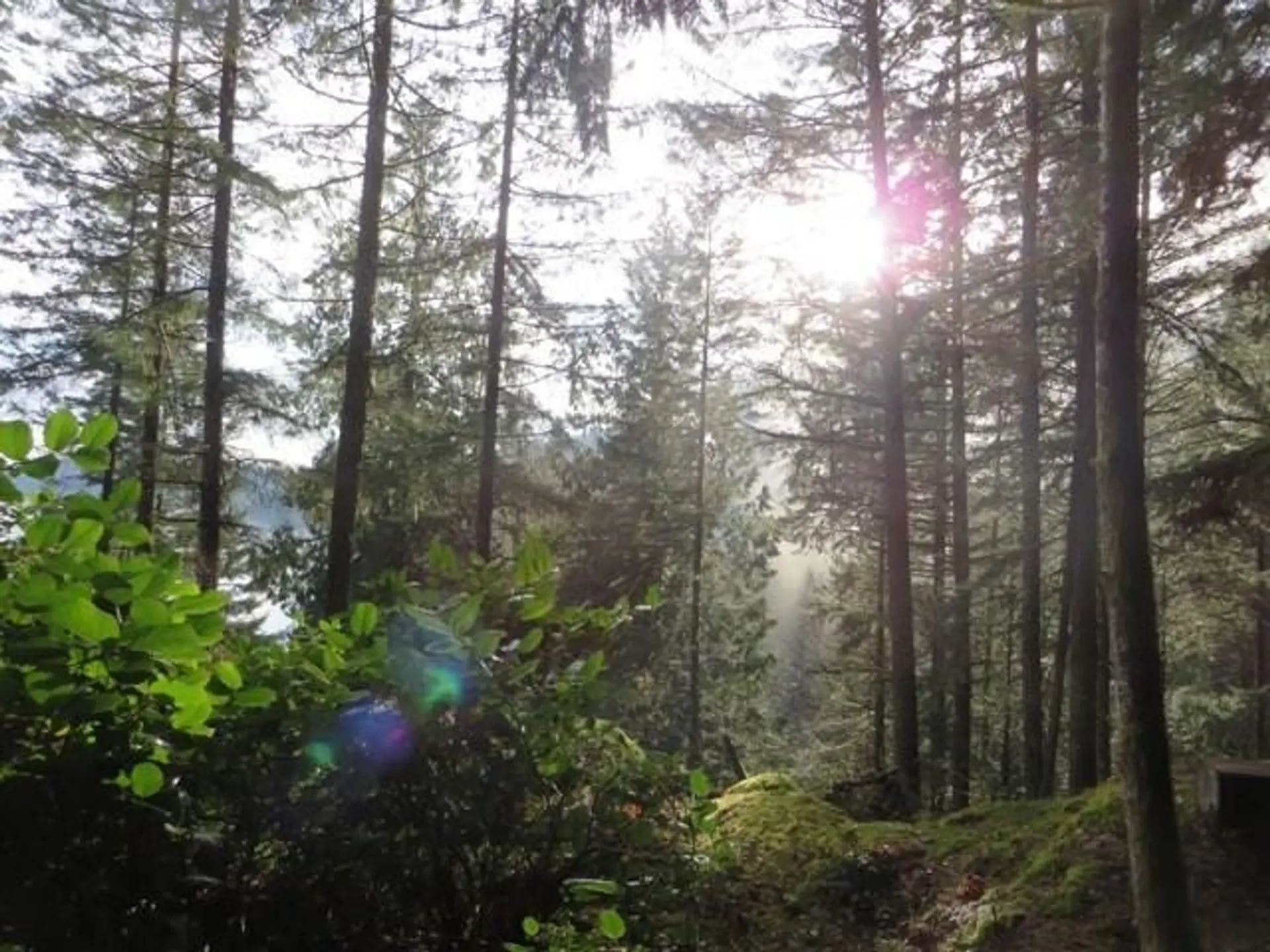 Property at LOT 26 WEST BAY LANDING, Gambier Island, BC