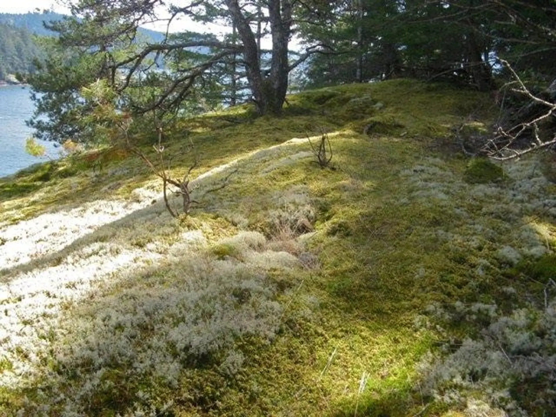 Property at LOT 26 WEST BAY LANDING, Gambier Island, BC