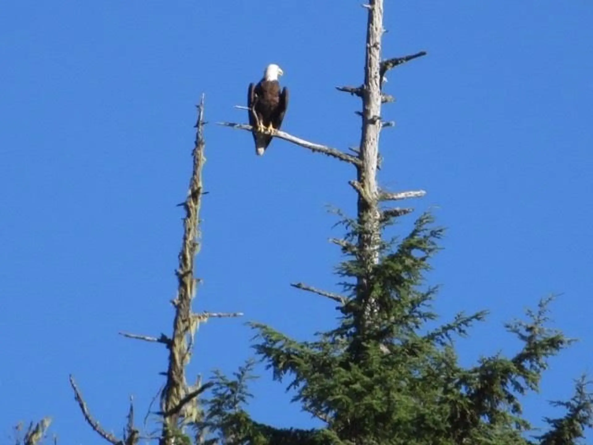 Property at LOT 26 WEST BAY LANDING, Gambier Island, BC