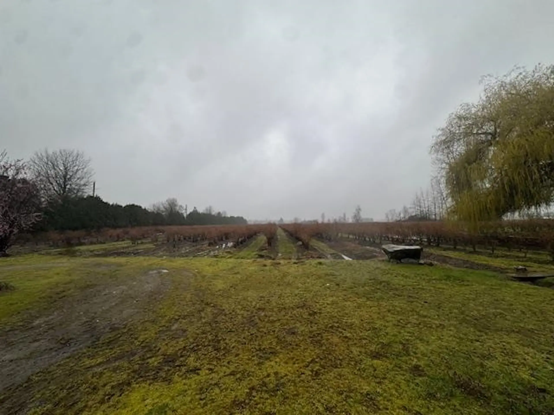 Property at 12853 HARRIS ROAD, Pitt Meadows, BC