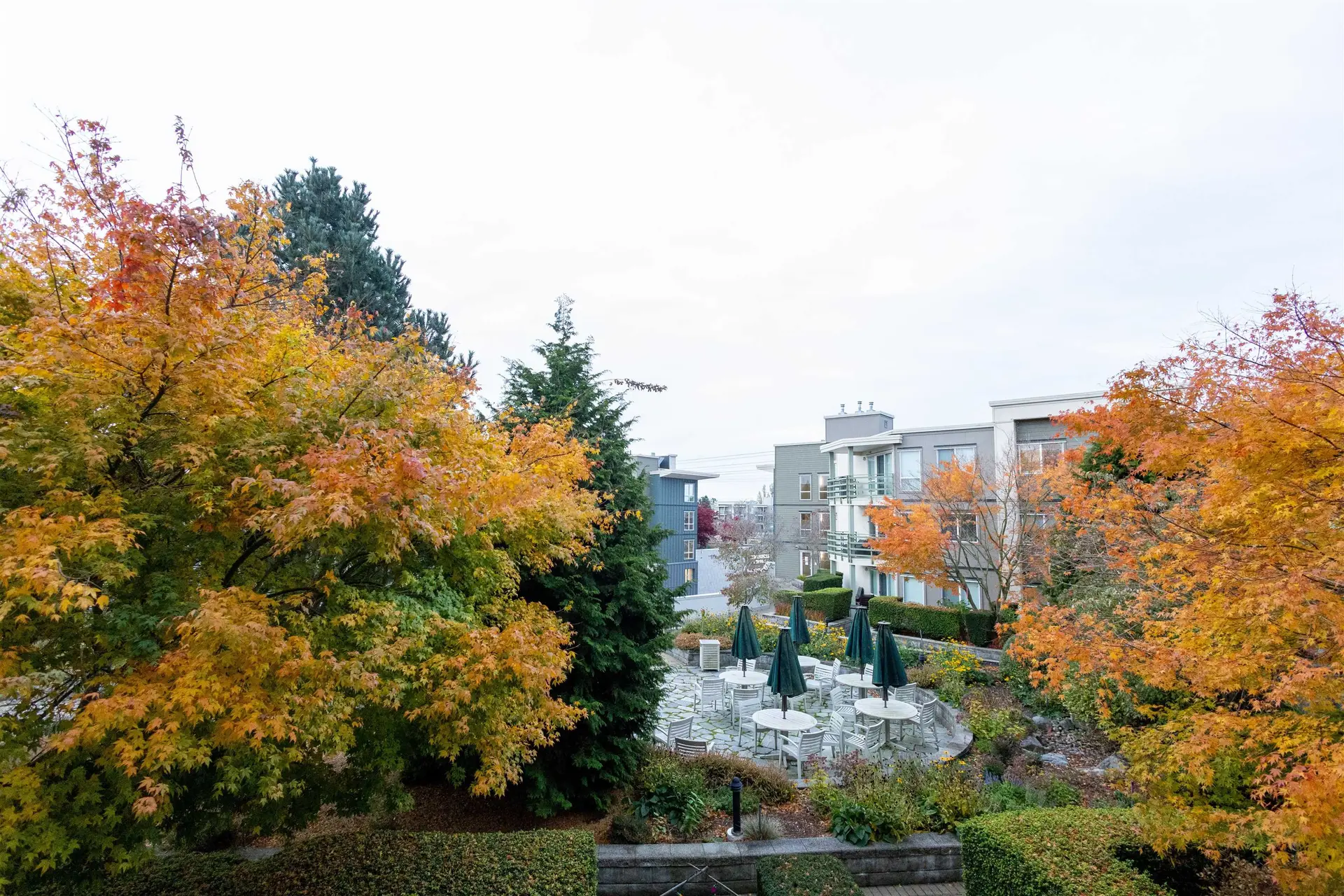 Property at #305 15850 26 AVENUE AVENUE, Surrey, BC