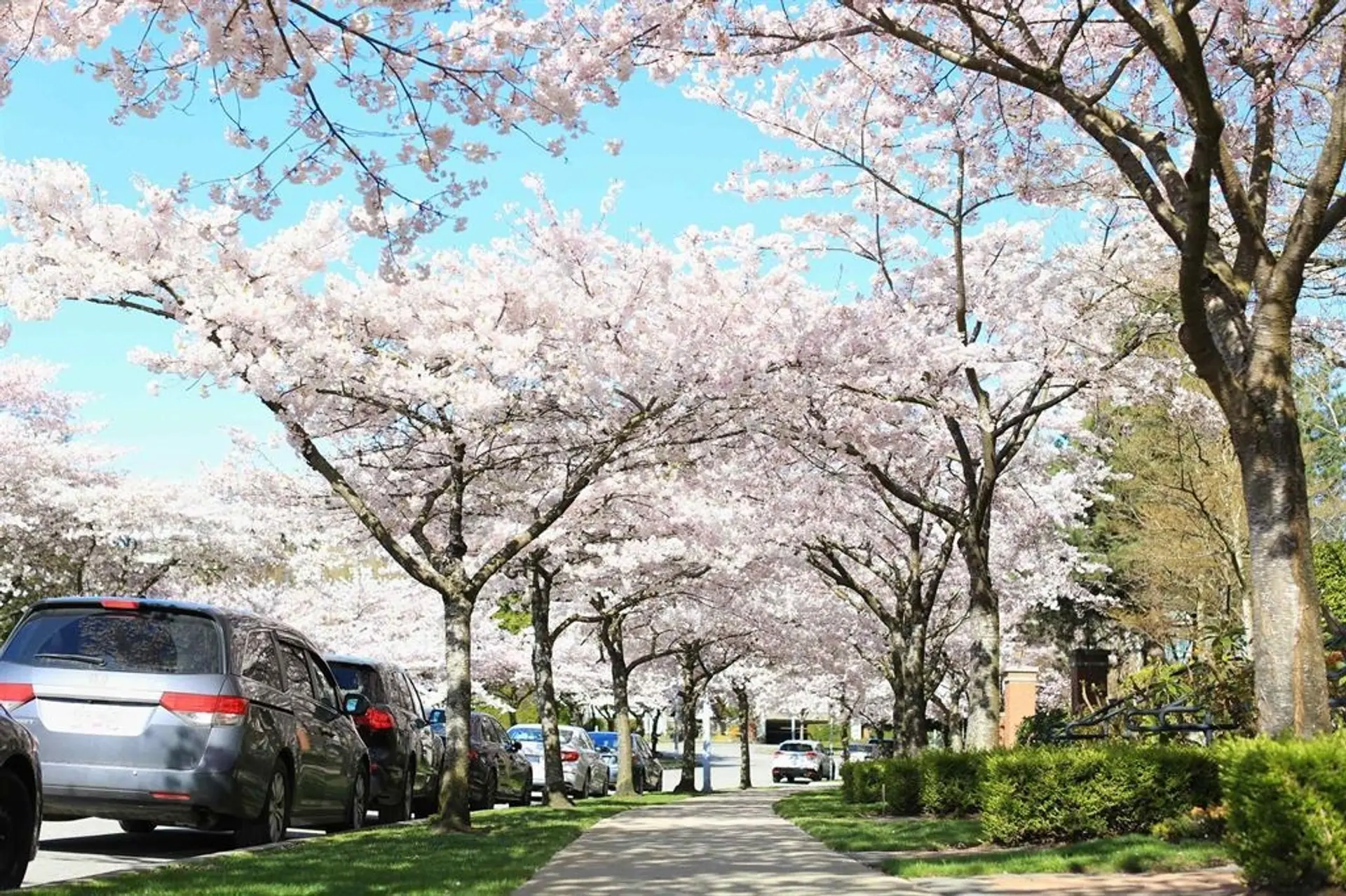 Property at #2101 6659 SOUTHOAKS CRESCENT, Burnaby, BC