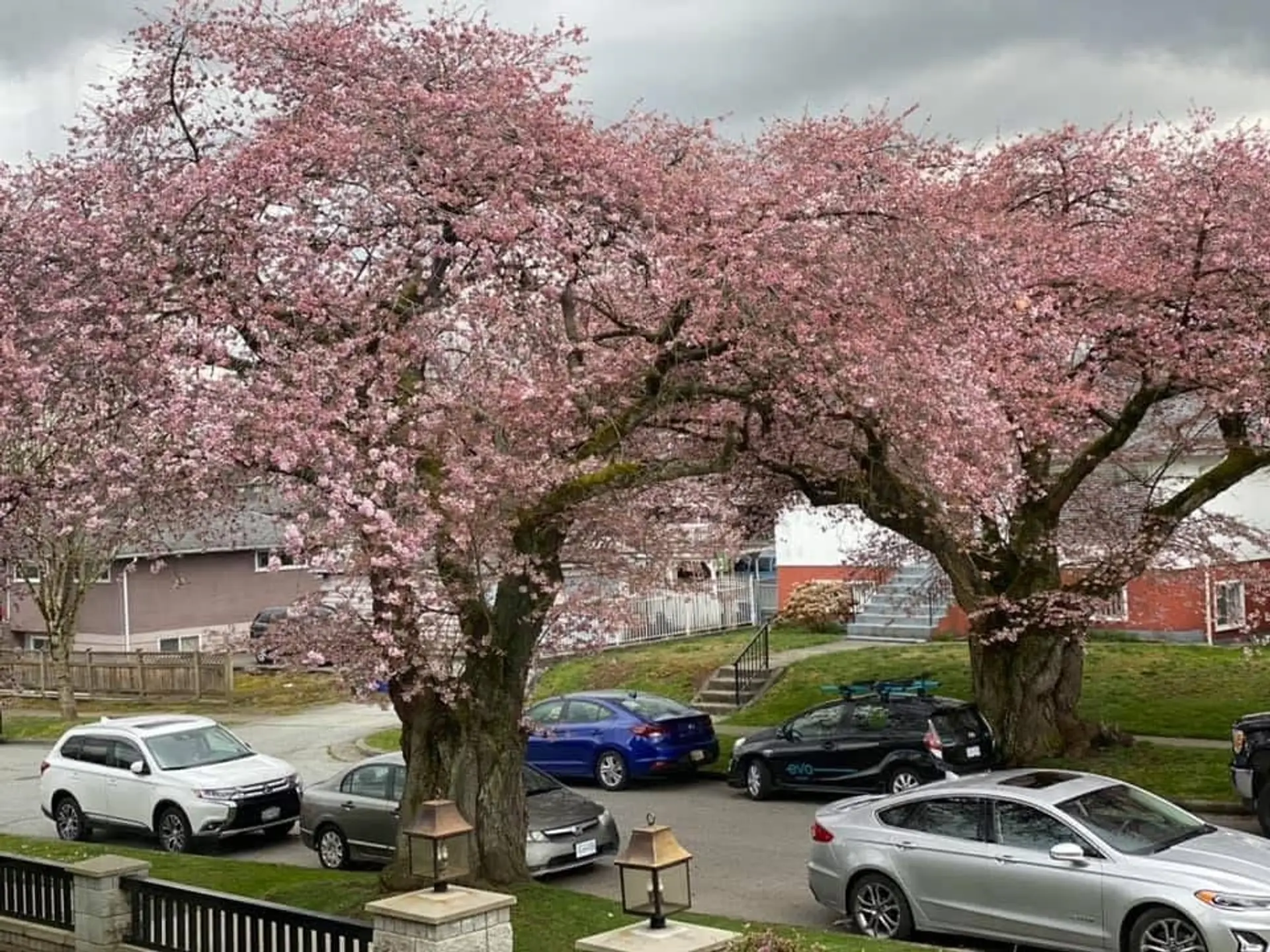 Property at 3653 E 25th Avenue, Vancouver, BC