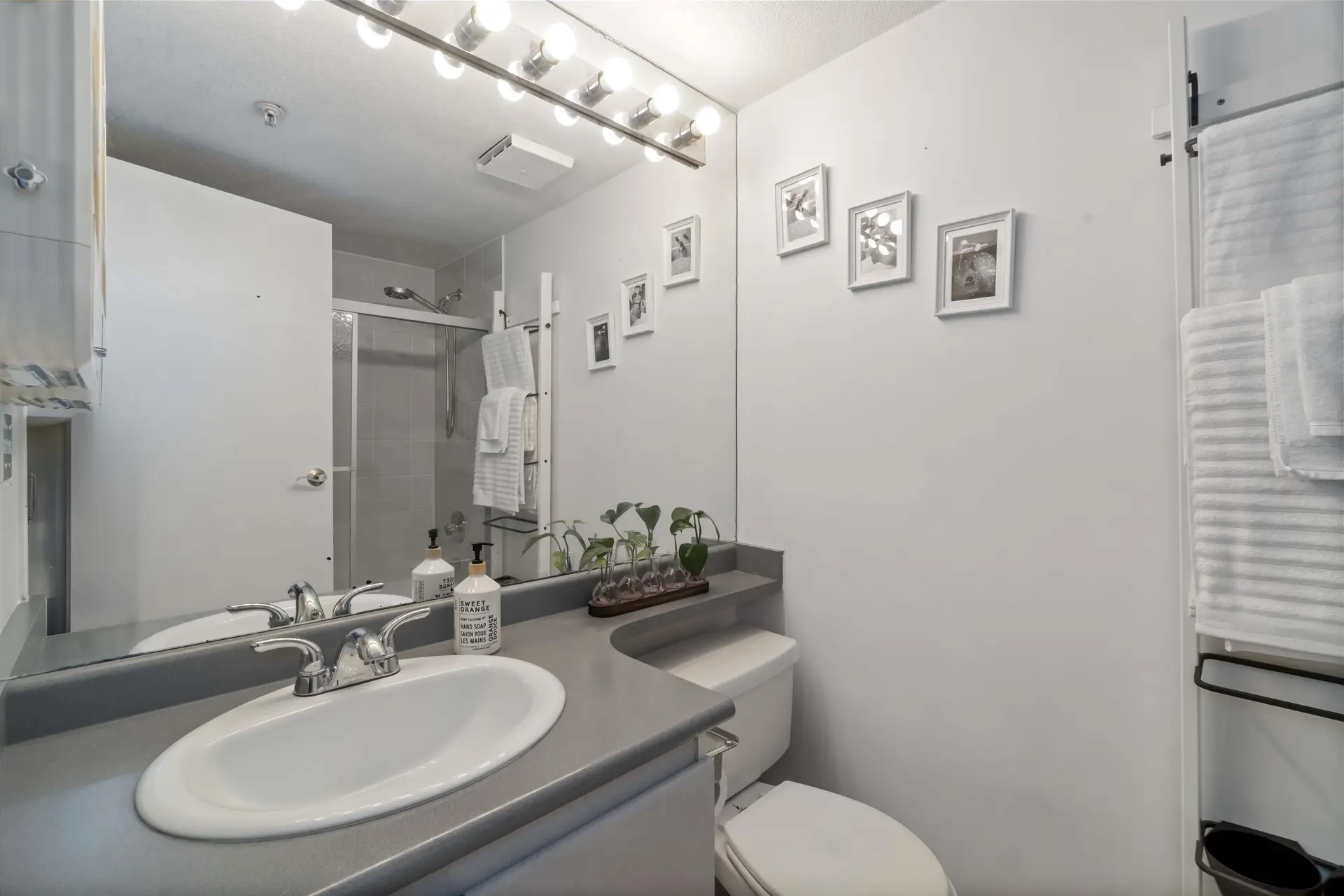 Property at #105 509 CARNARVON STREET, New Westminster, BC