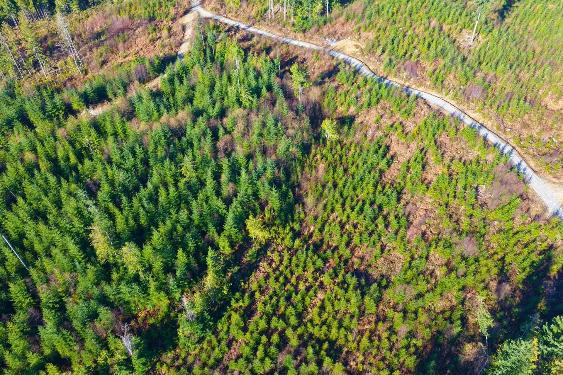 Property at BLOCK A LOCKYER ROAD, Roberts Creek, BC