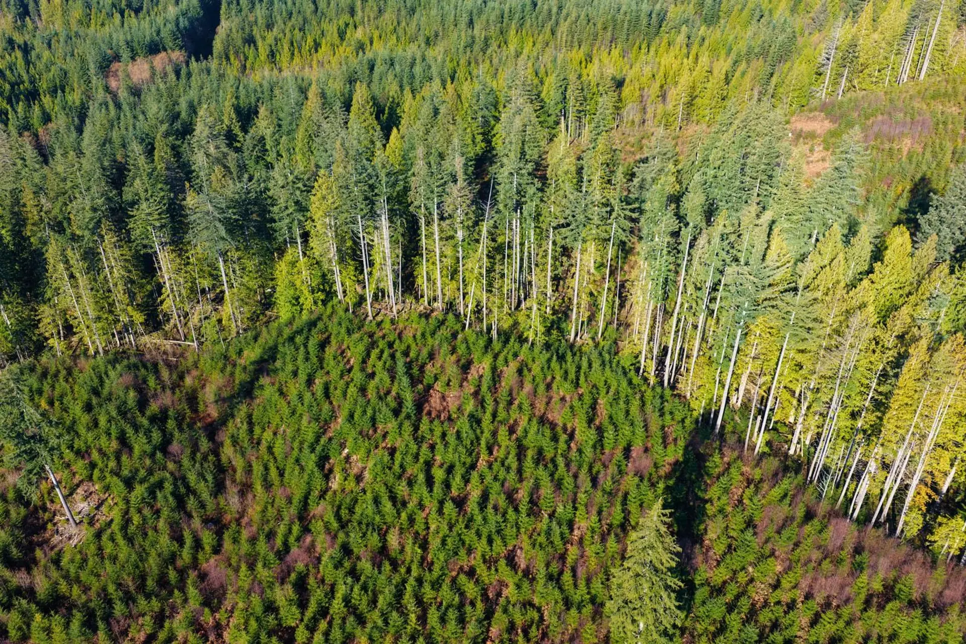 Property at BLOCK A LOCKYER ROAD, Roberts Creek, BC