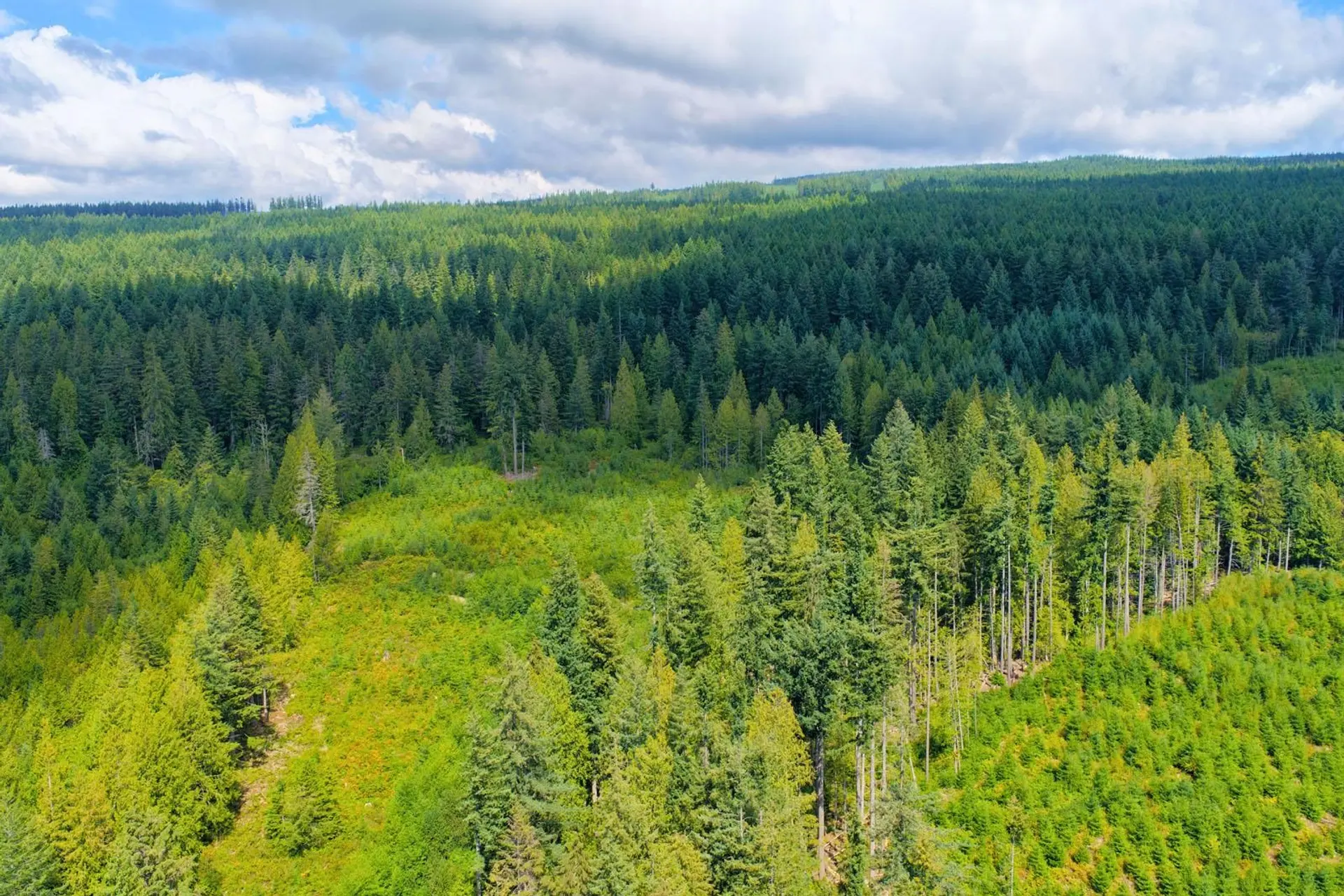 Property at BLOCK A LOCKYER ROAD, Roberts Creek, BC