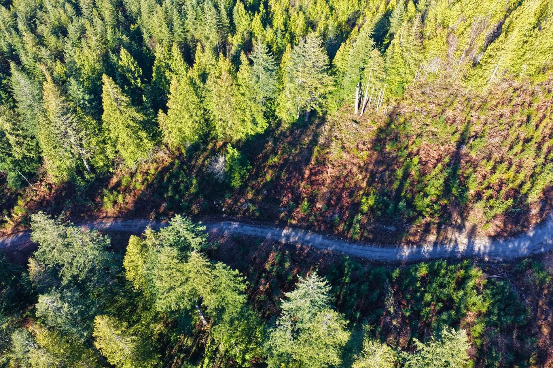 Property at LOT 1 LOCKYER ROAD, Roberts Creek, BC