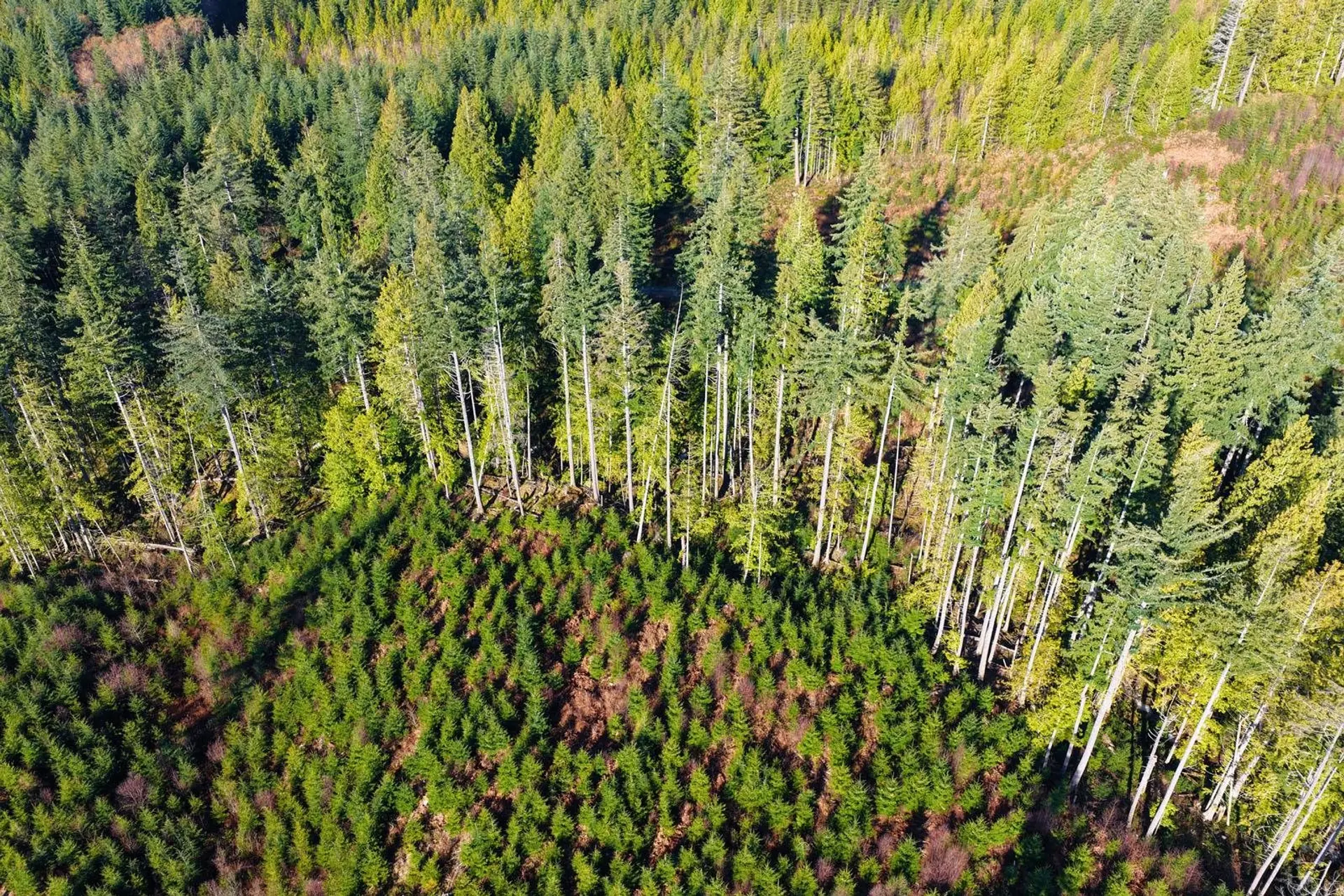 Property at LOT 1 LOCKYER ROAD, Roberts Creek, BC