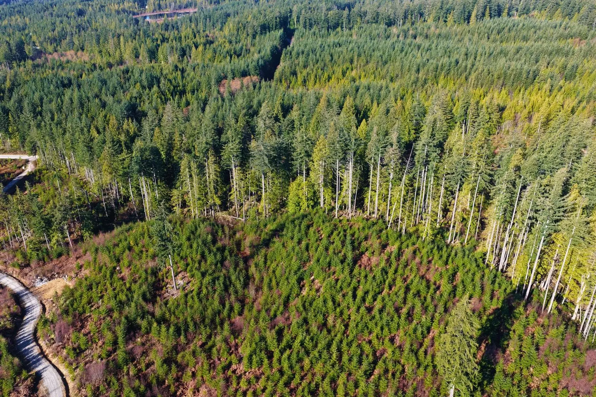 Property at LOT 1 LOCKYER ROAD, Roberts Creek, BC