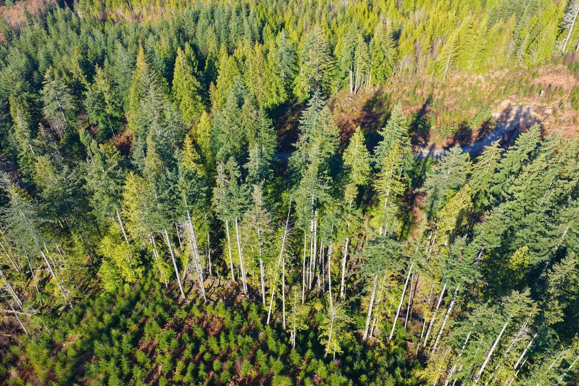 Property at LOT 1 LOCKYER ROAD, Roberts Creek, BC