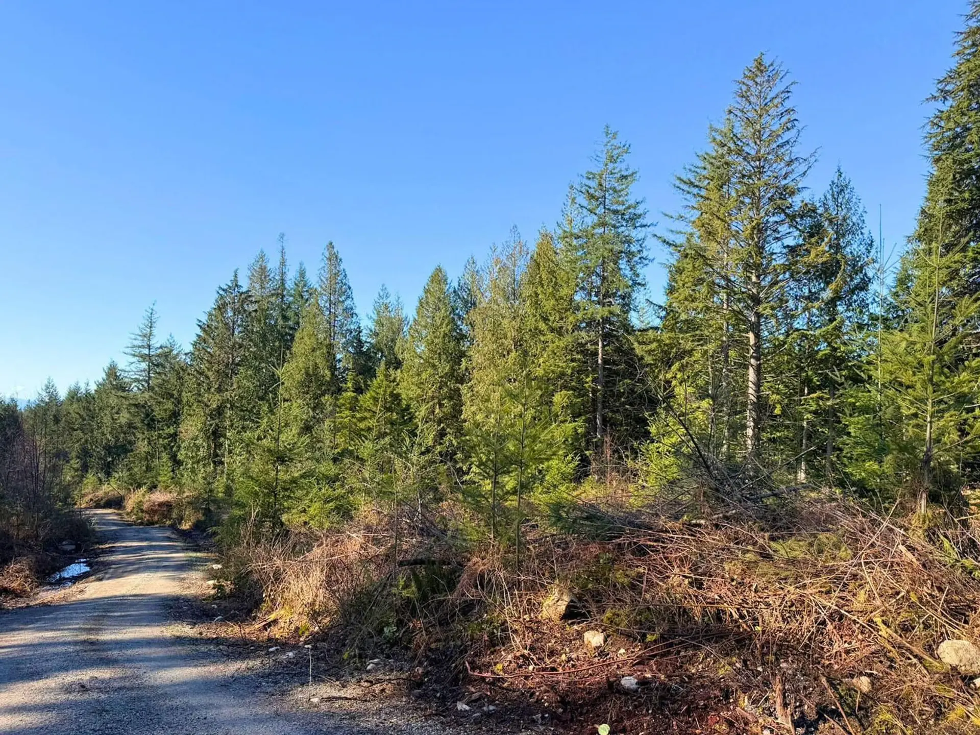 Property at LOT 1 LOCKYER ROAD, Roberts Creek, BC