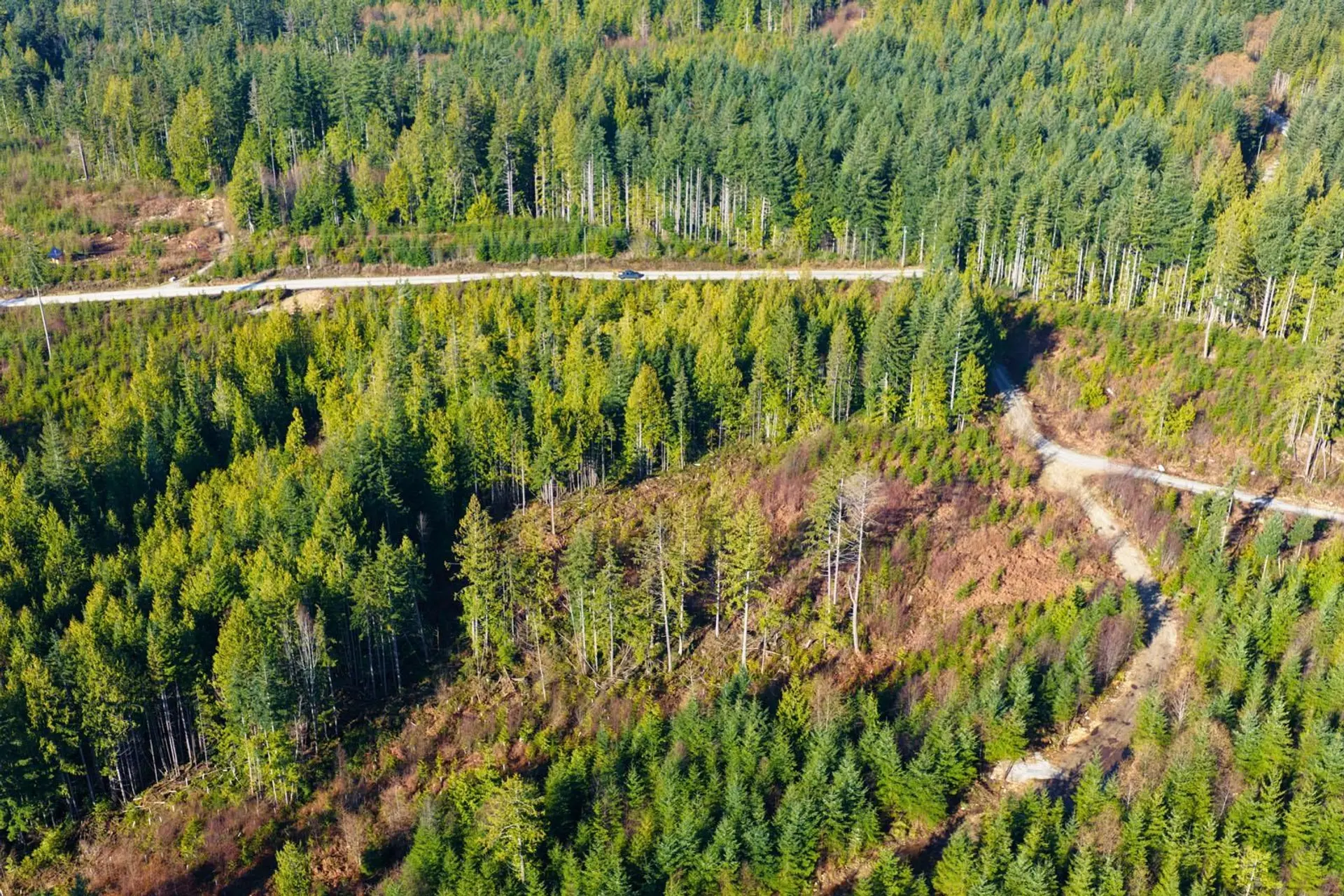 Property at LOT 3 LOCKYER ROAD, Roberts Creek, BC