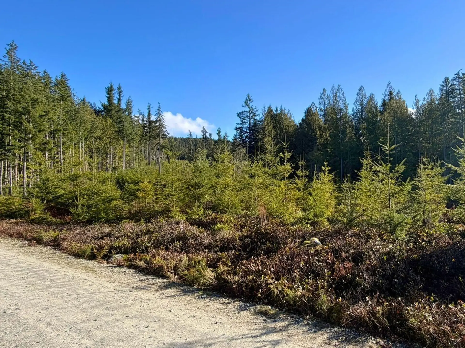 Property at LOT 3 LOCKYER ROAD, Roberts Creek, BC