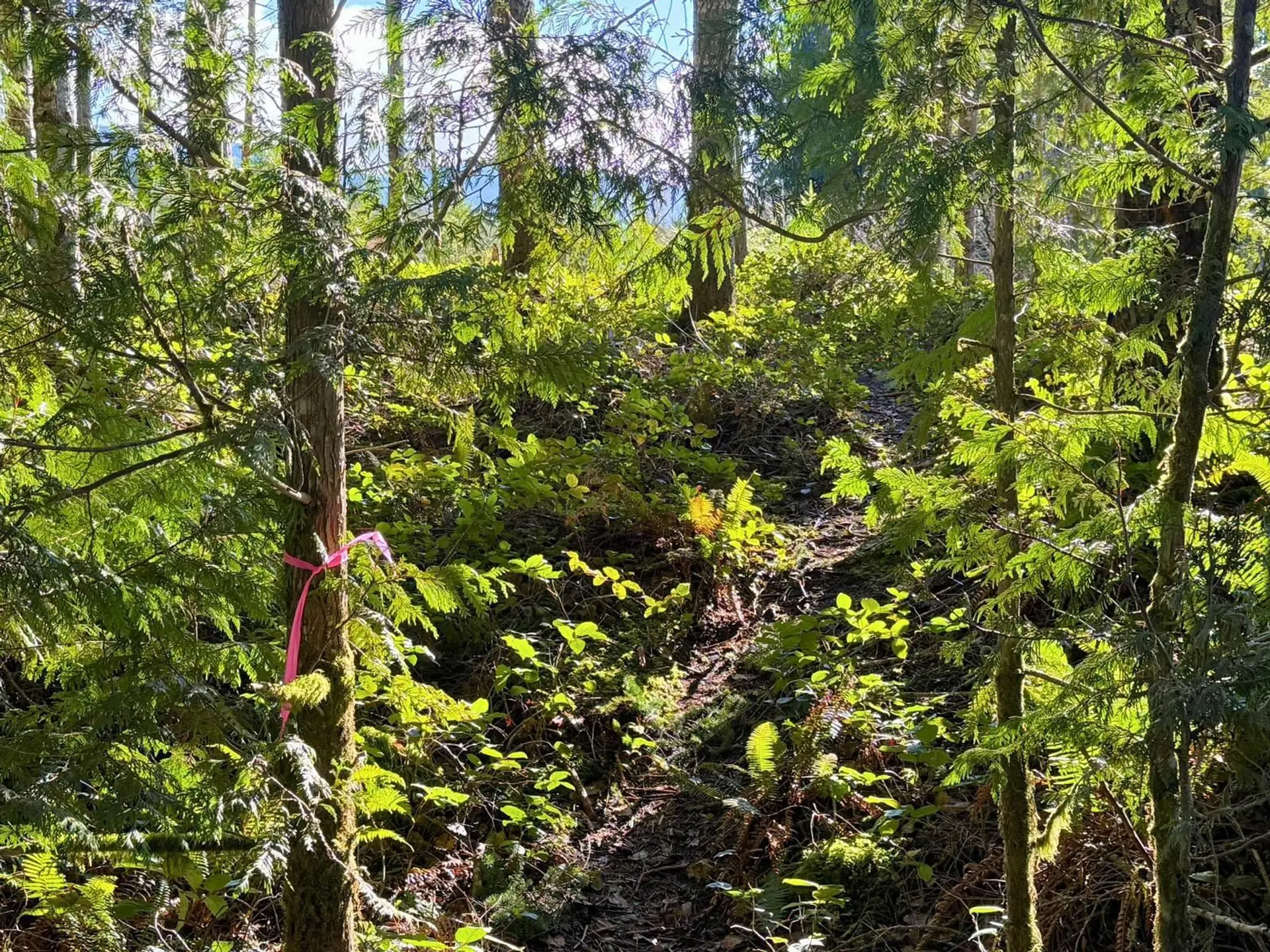 Property at LOT 3 LOCKYER ROAD, Roberts Creek, BC