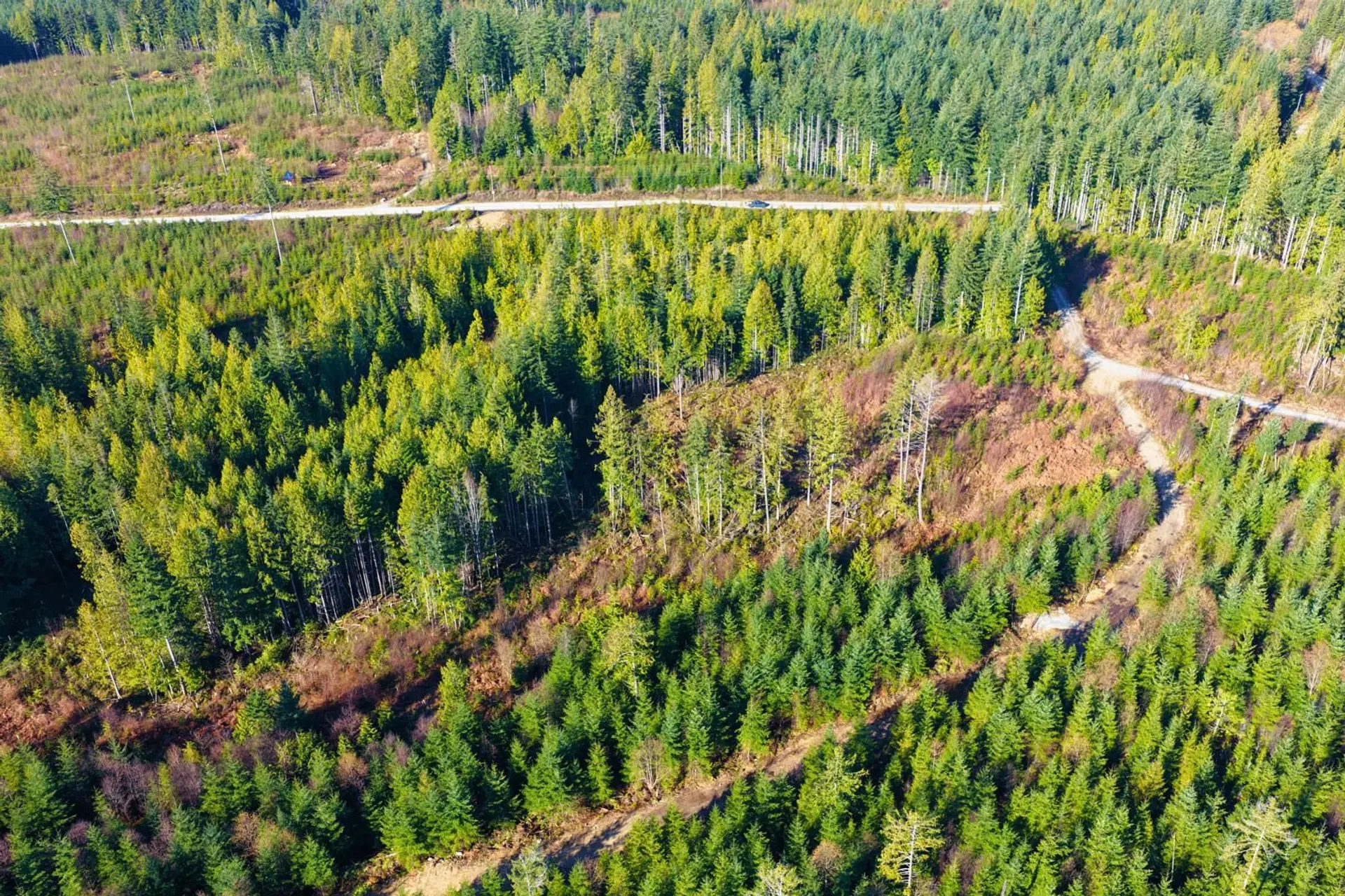 Property at LOT 3 LOCKYER ROAD, Roberts Creek, BC