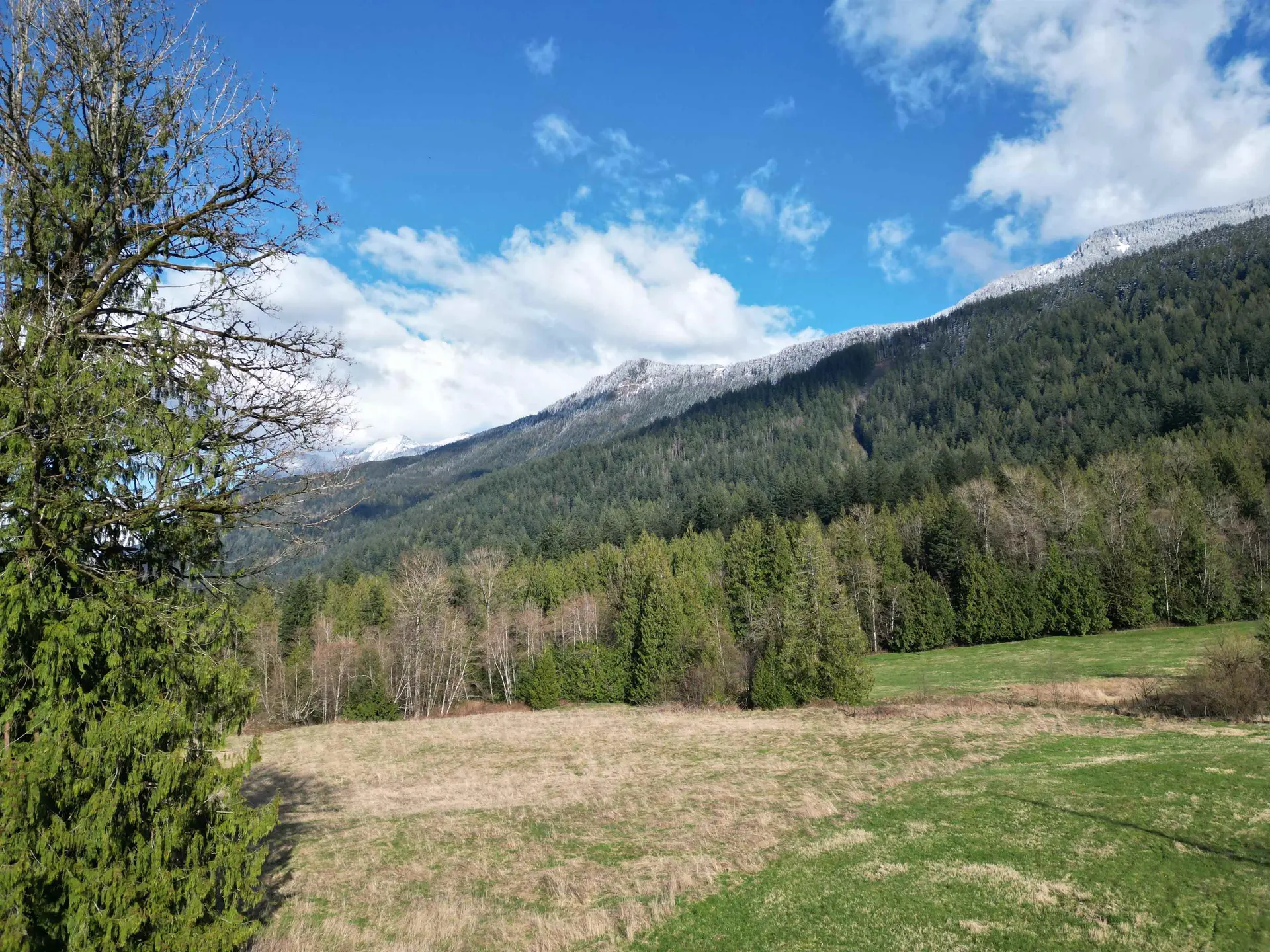 Property at 52300 ALLAN ROAD, Chilliwack, BC