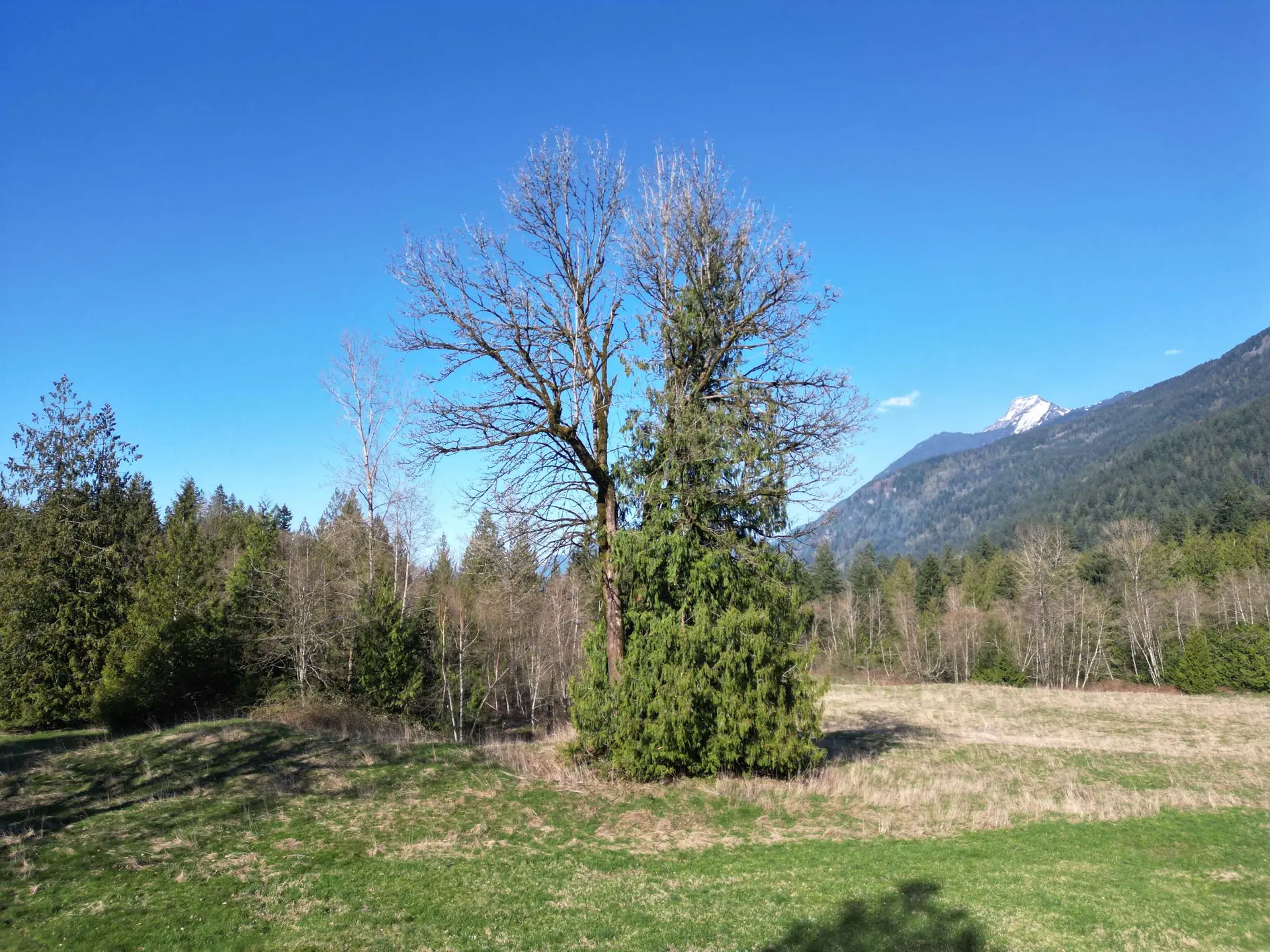Property at 52300 ALLAN ROAD, Chilliwack, BC