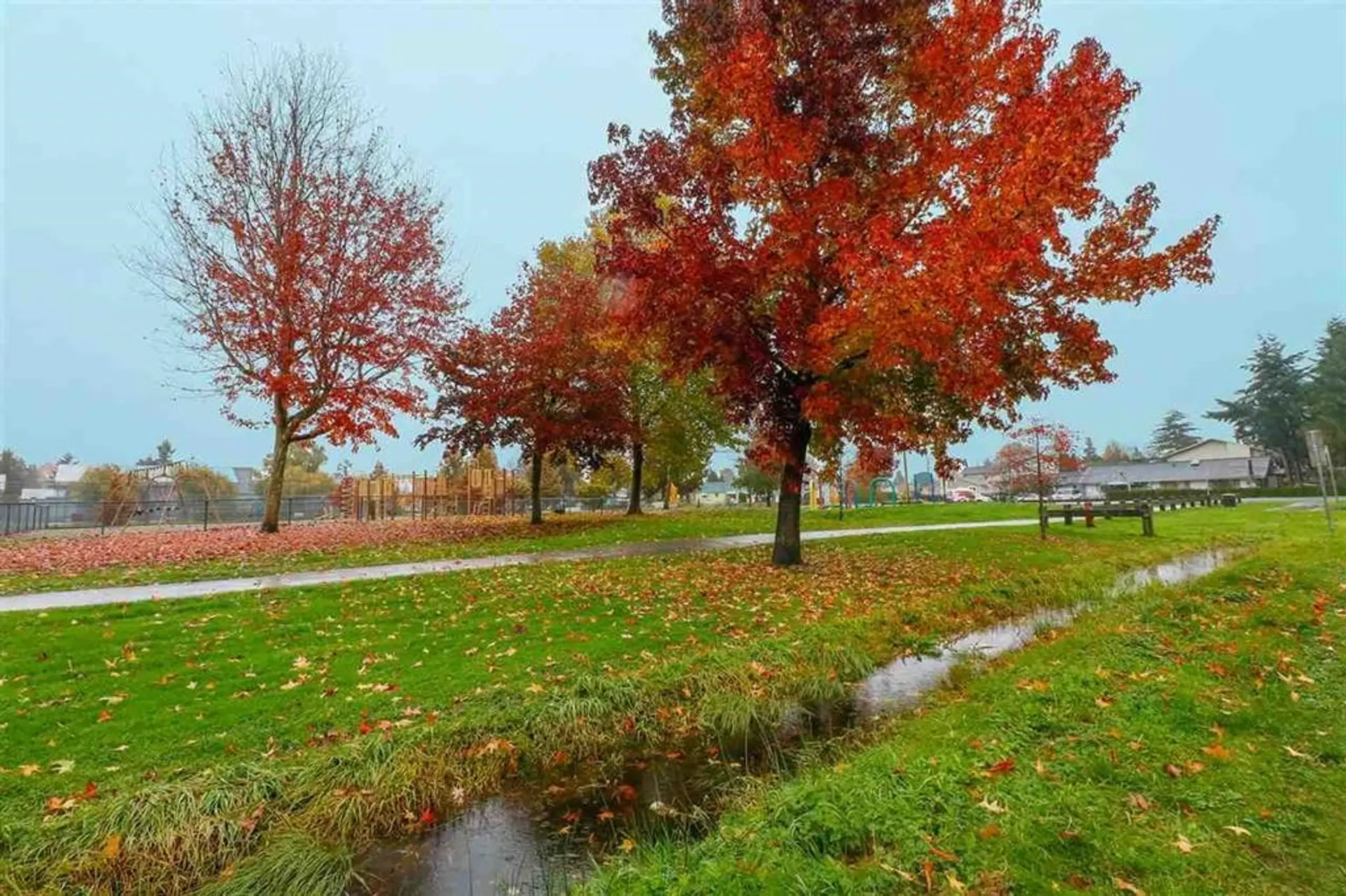 Property at 12646 E 114 AVENUE, Surrey, BC