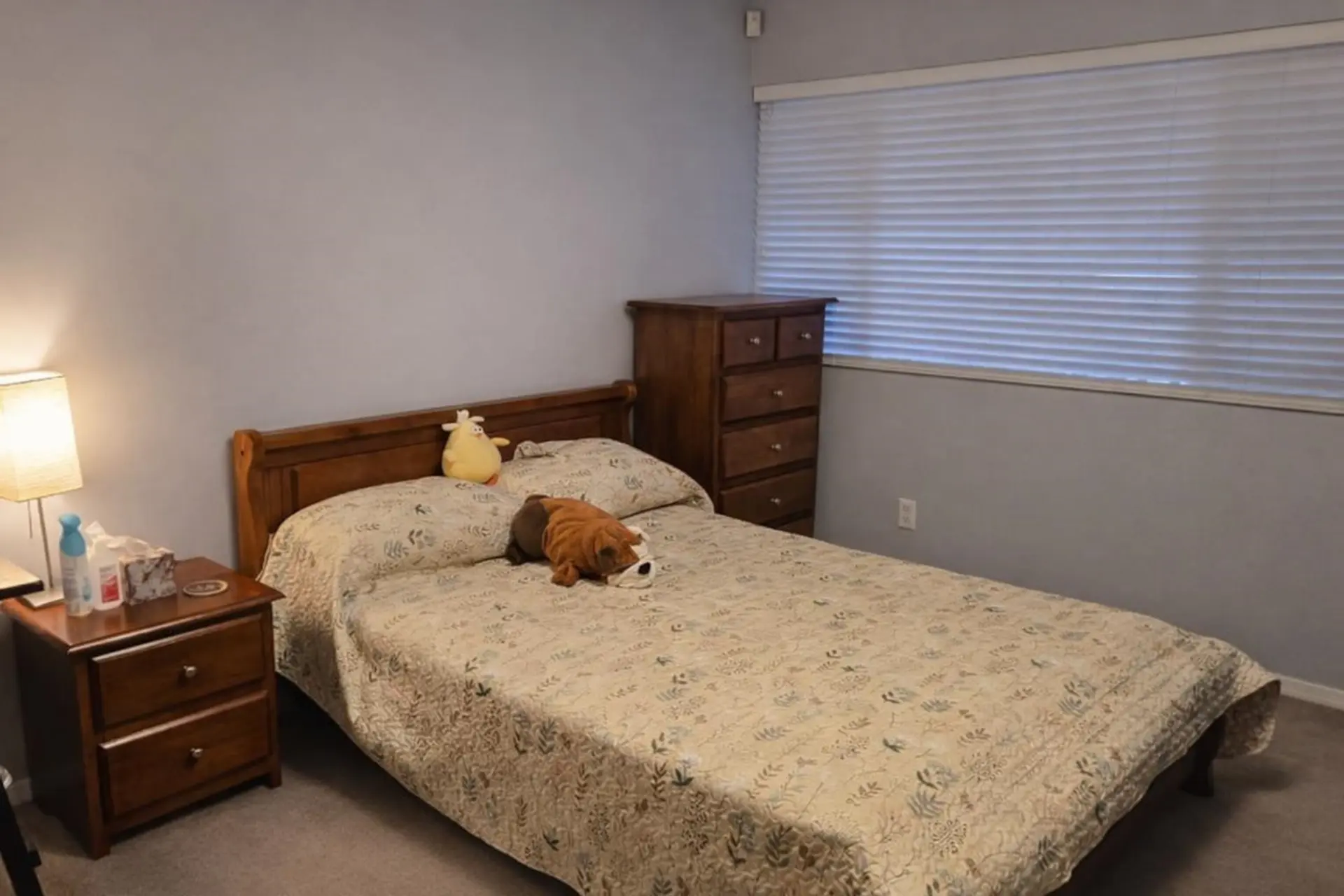 Property at 11480 228TH STREET, Maple Ridge, BC