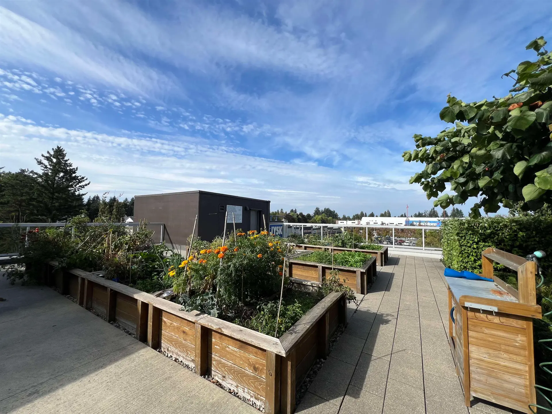 Property at #3305 11967 80 AVENUE, Delta, BC