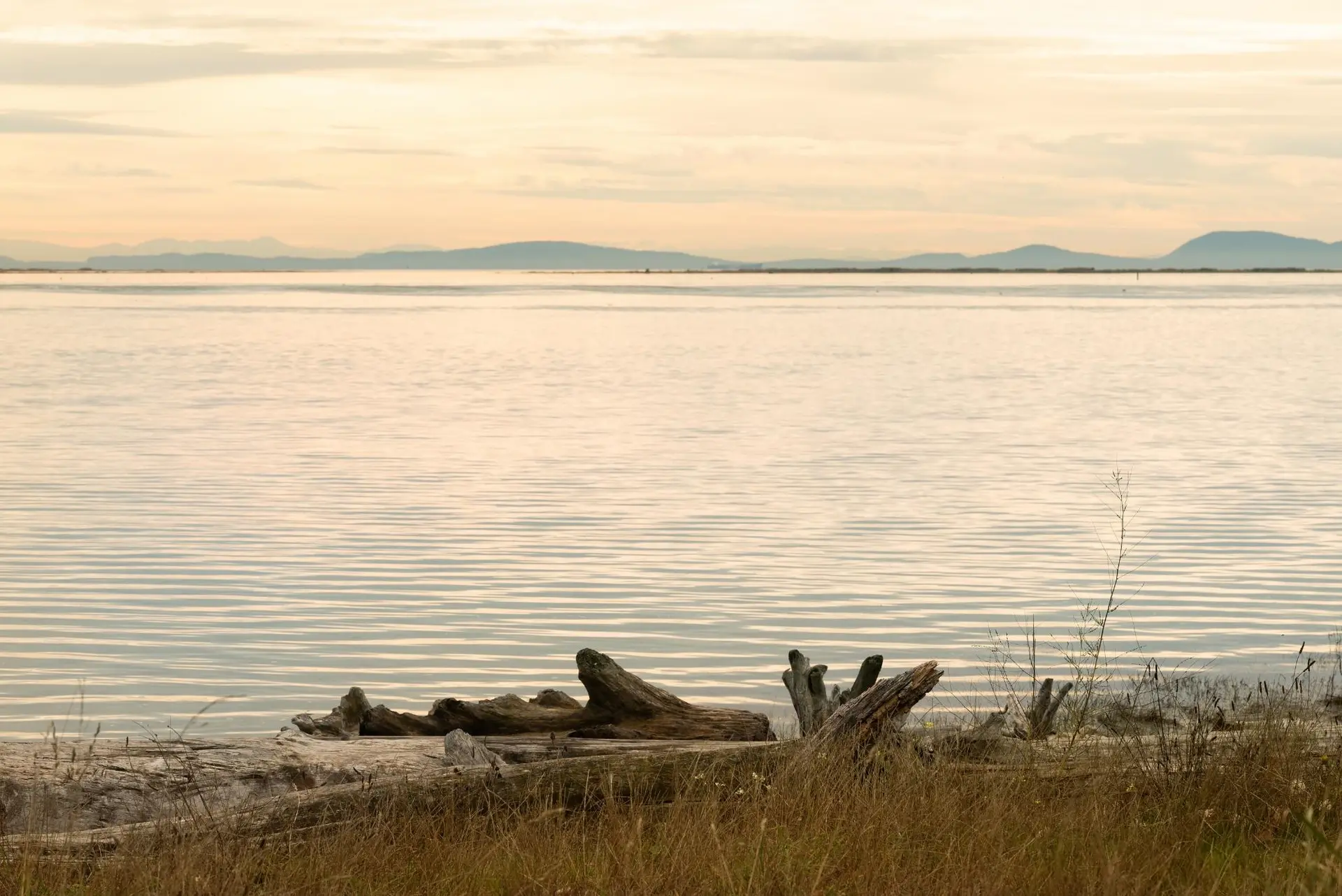 Property at #99 3888 MORESBY DRIVE, Richmond, BC