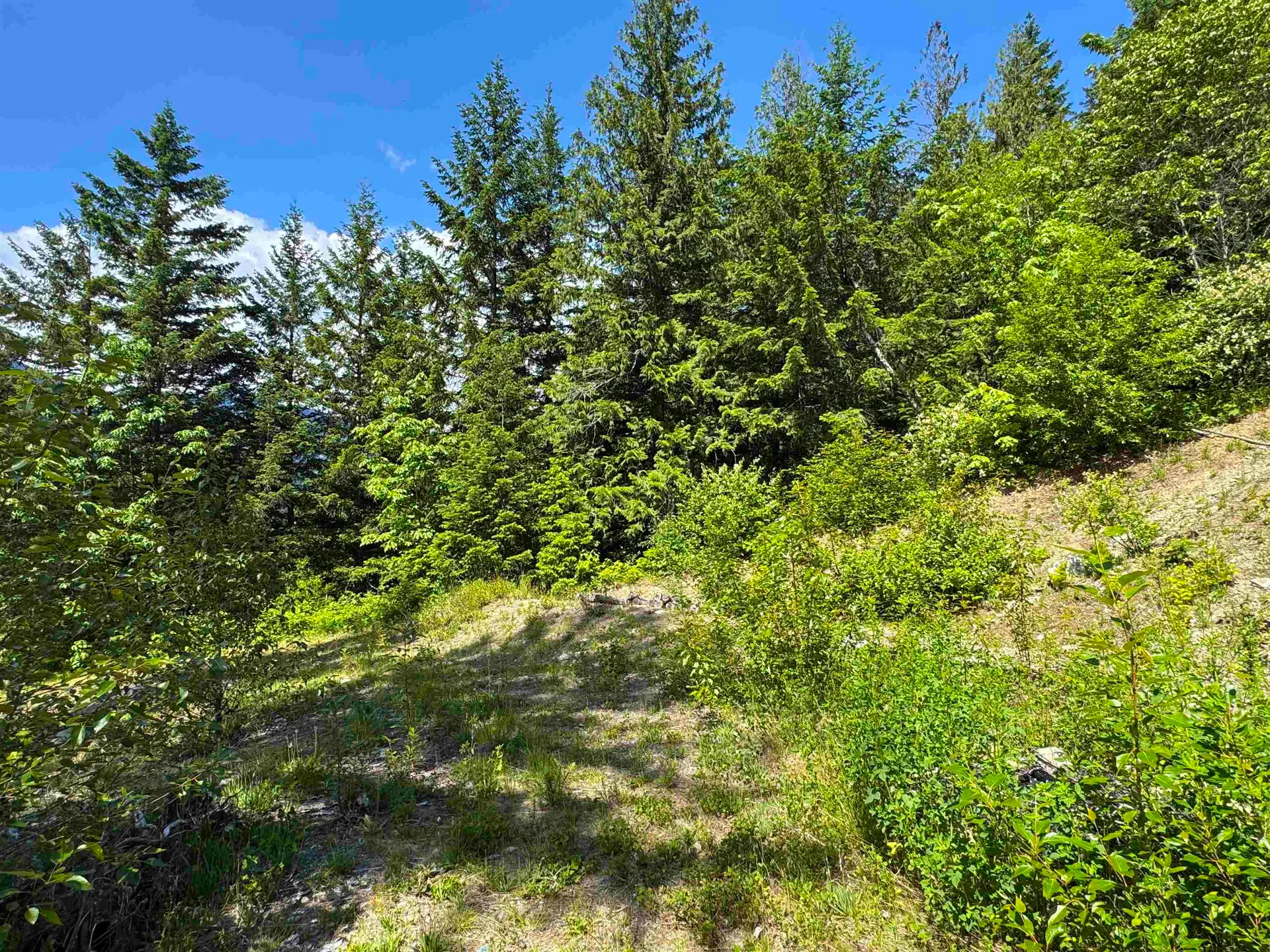 Property at 7505 PEBBLE CREEK DRIVE, Pemberton, BC