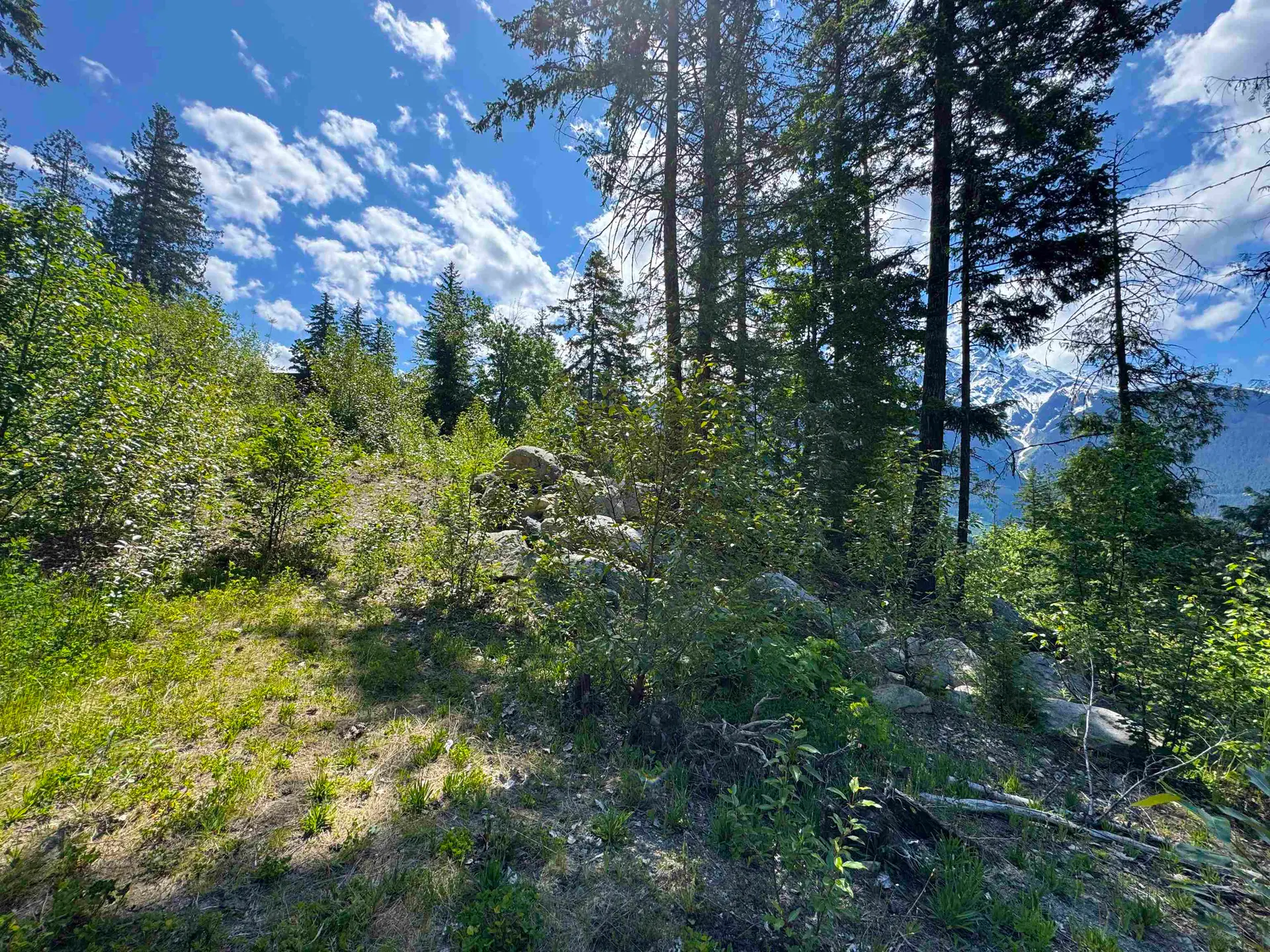 Property at 7505 PEBBLE CREEK DRIVE, Pemberton, BC