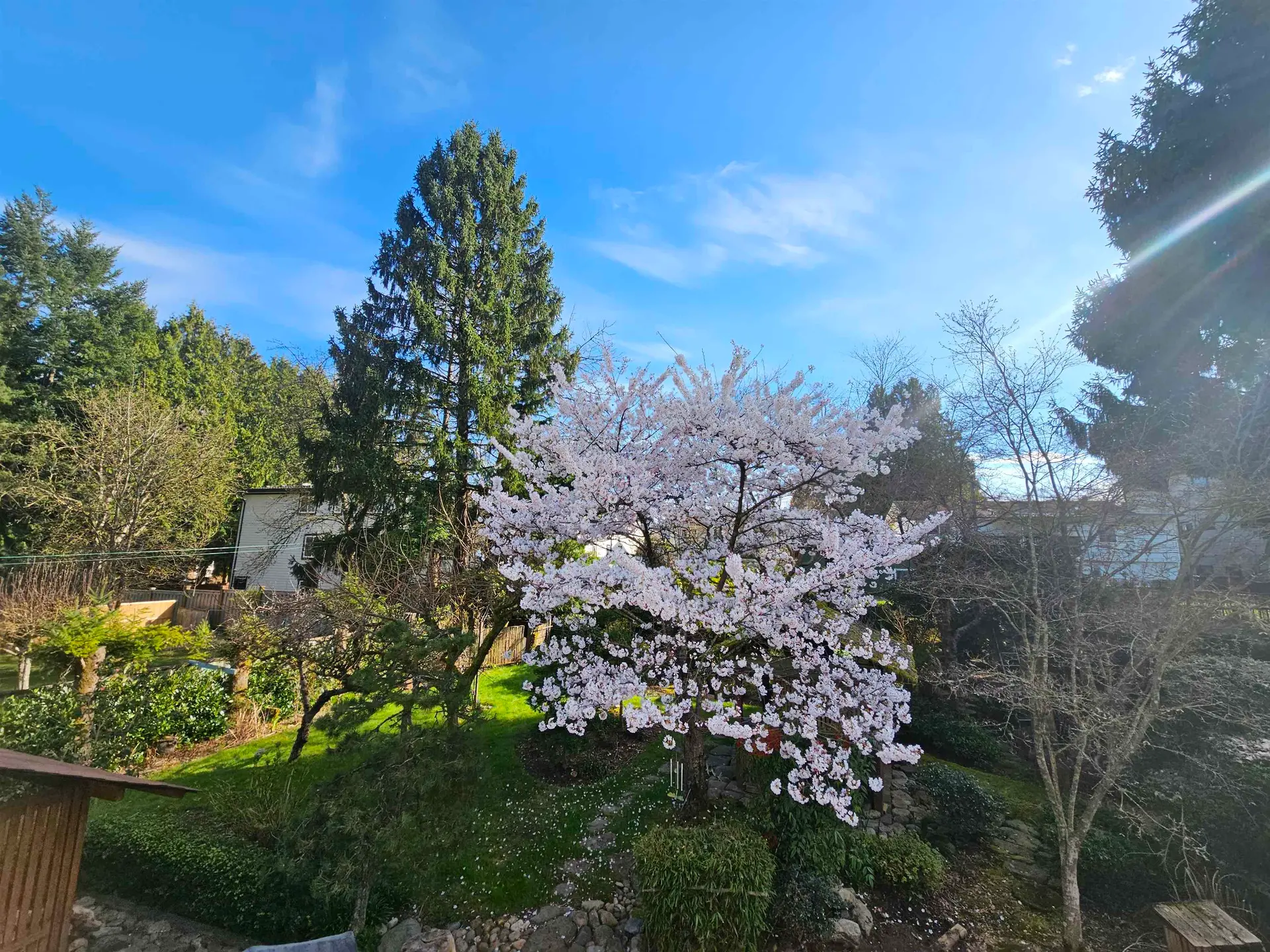 Property at 13904 78 AVENUE, Surrey, BC