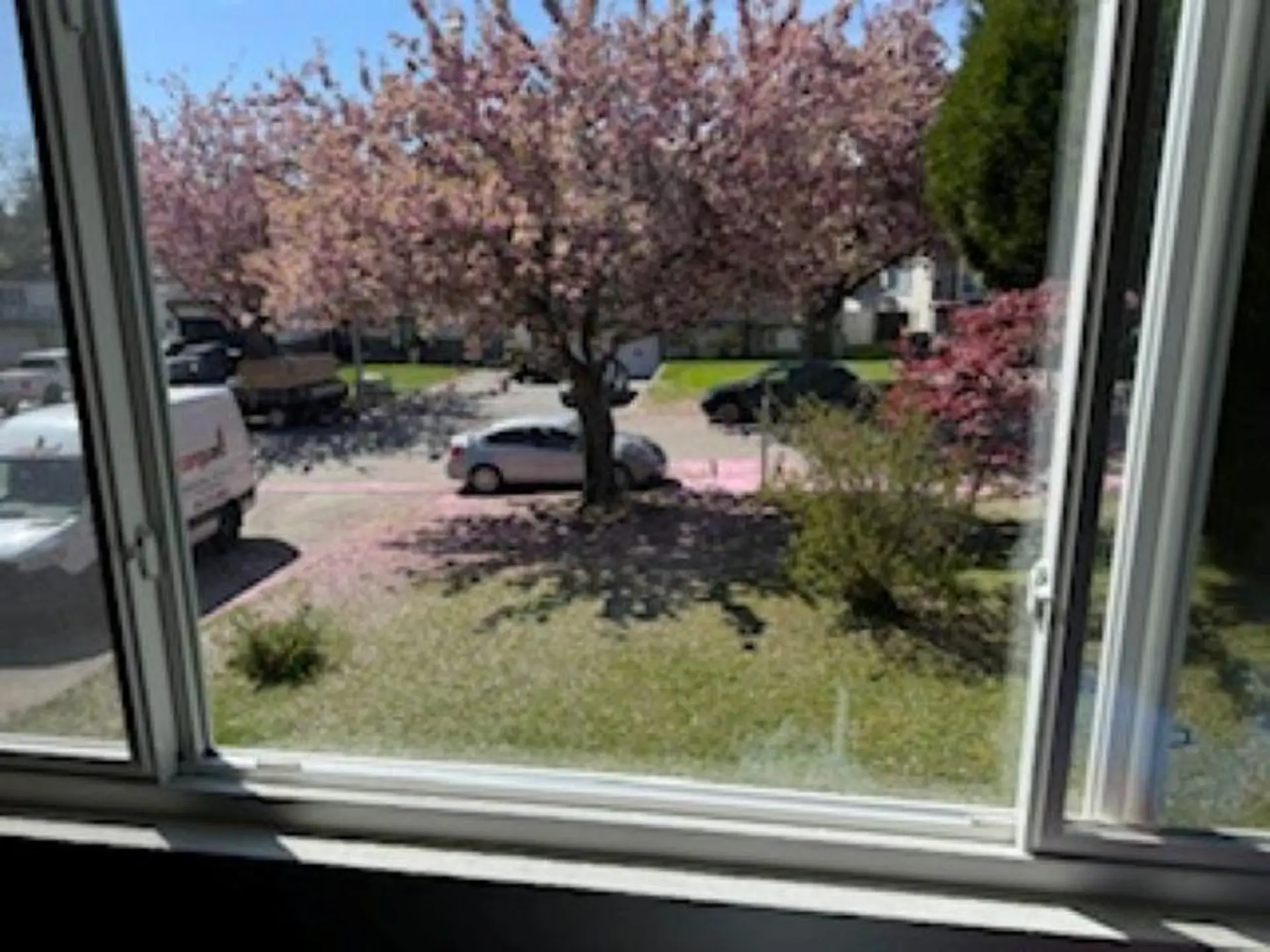 8868 Roslin Place - Image 3