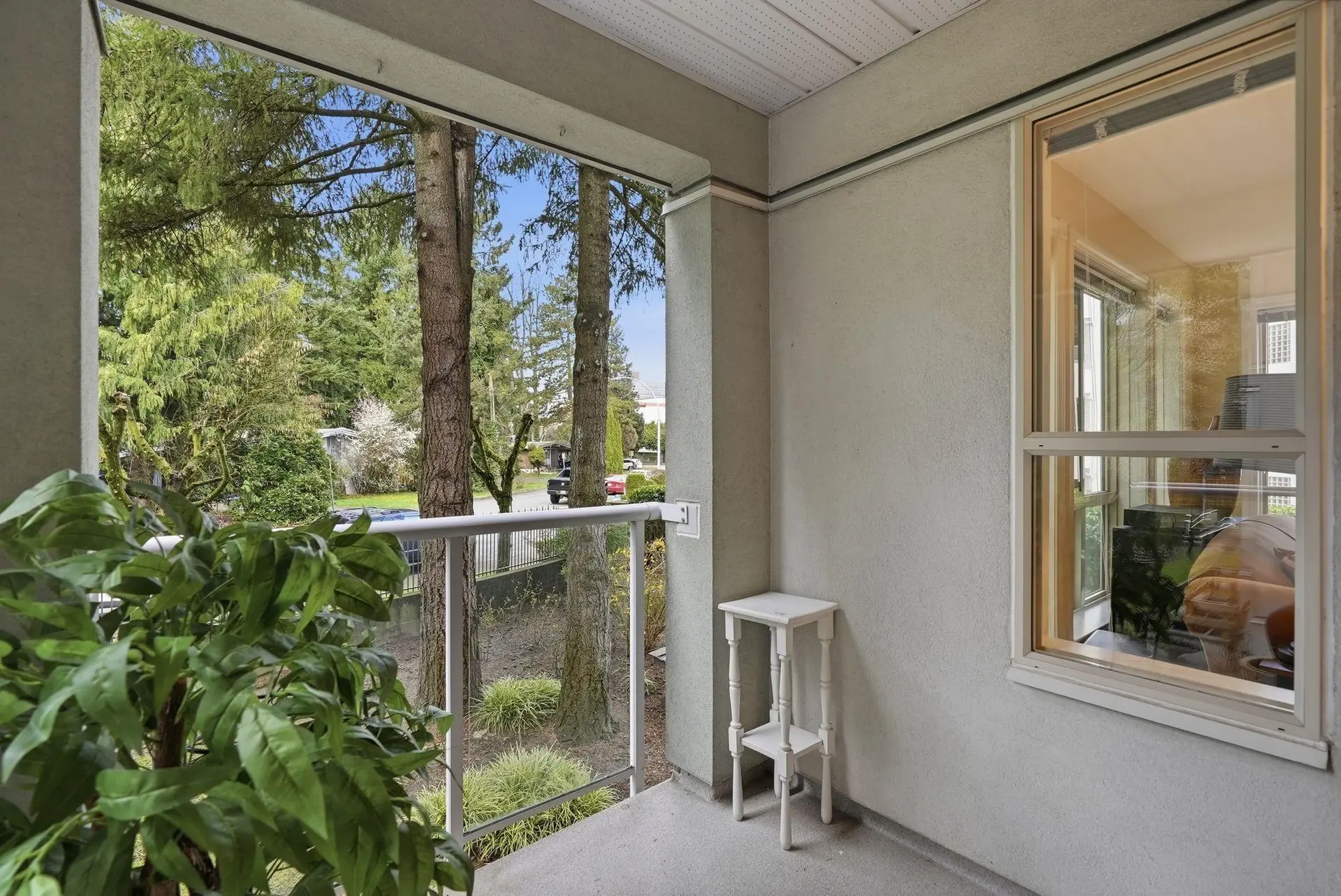 Property at #211 2575 WARE STREET, Abbotsford, BC