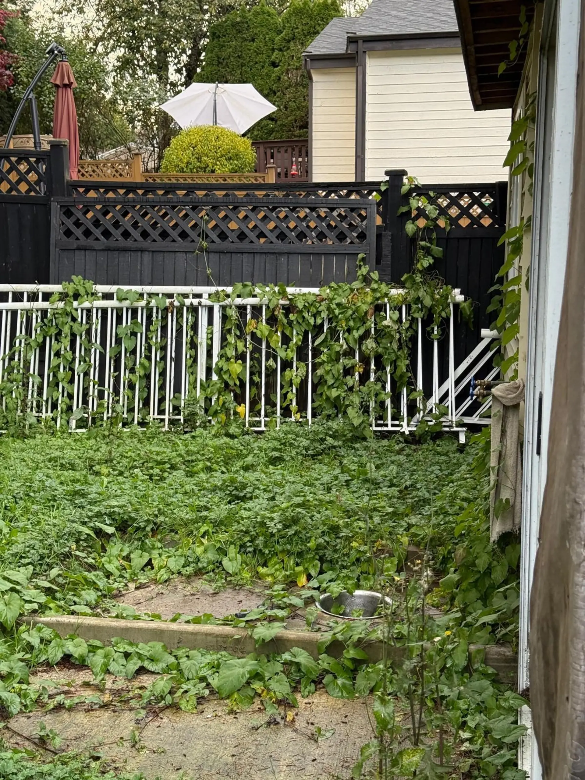 Property at 13960 80A AVENUE, Surrey, BC