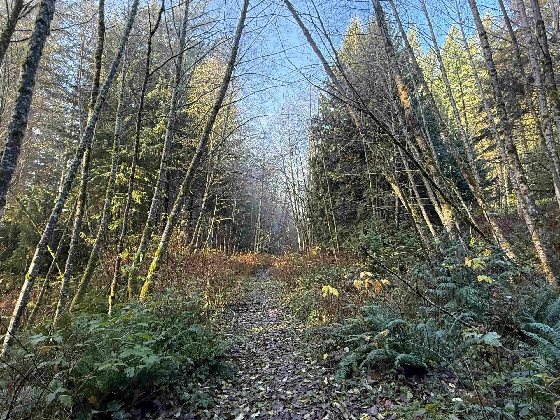 Property at 1594 CEMETERY ROAD, Gibsons, BC