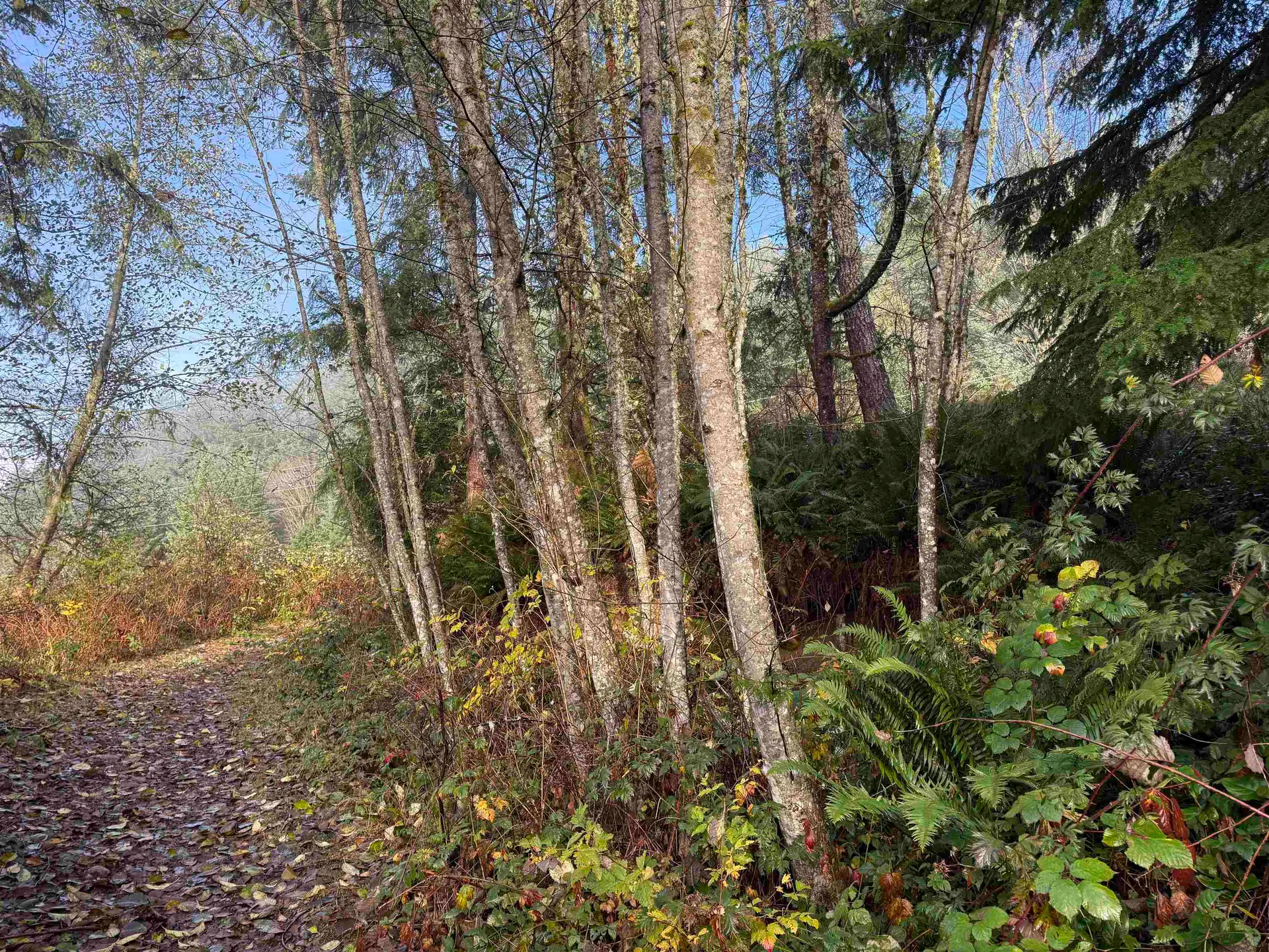 Property at 1594 CEMETERY ROAD, Gibsons, BC