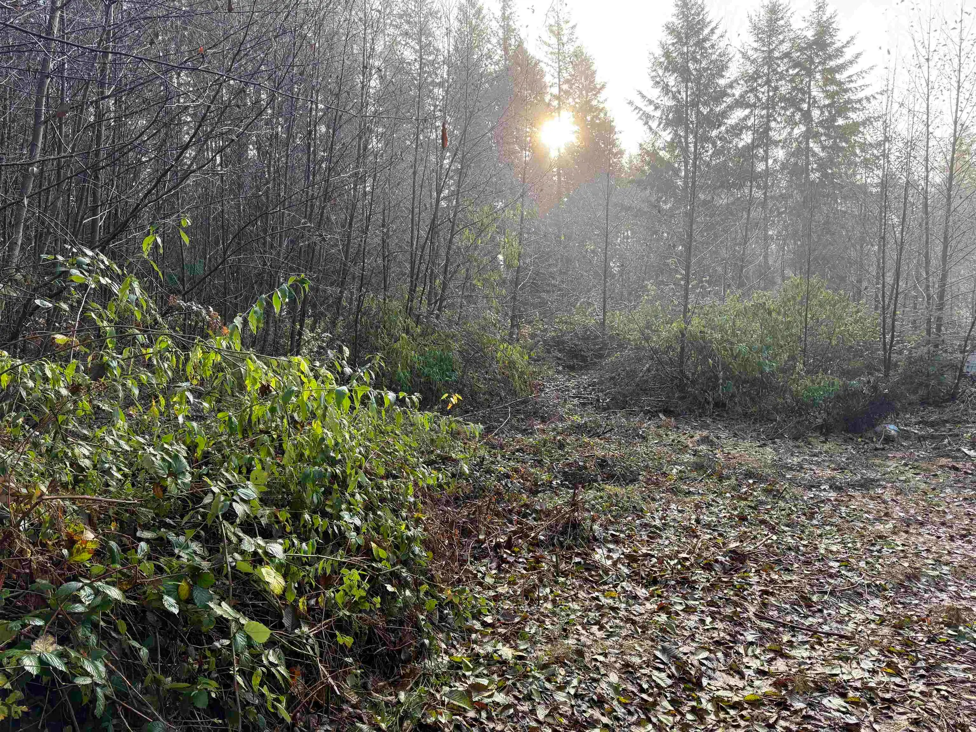 Property at 1594 CEMETERY ROAD, Gibsons, BC