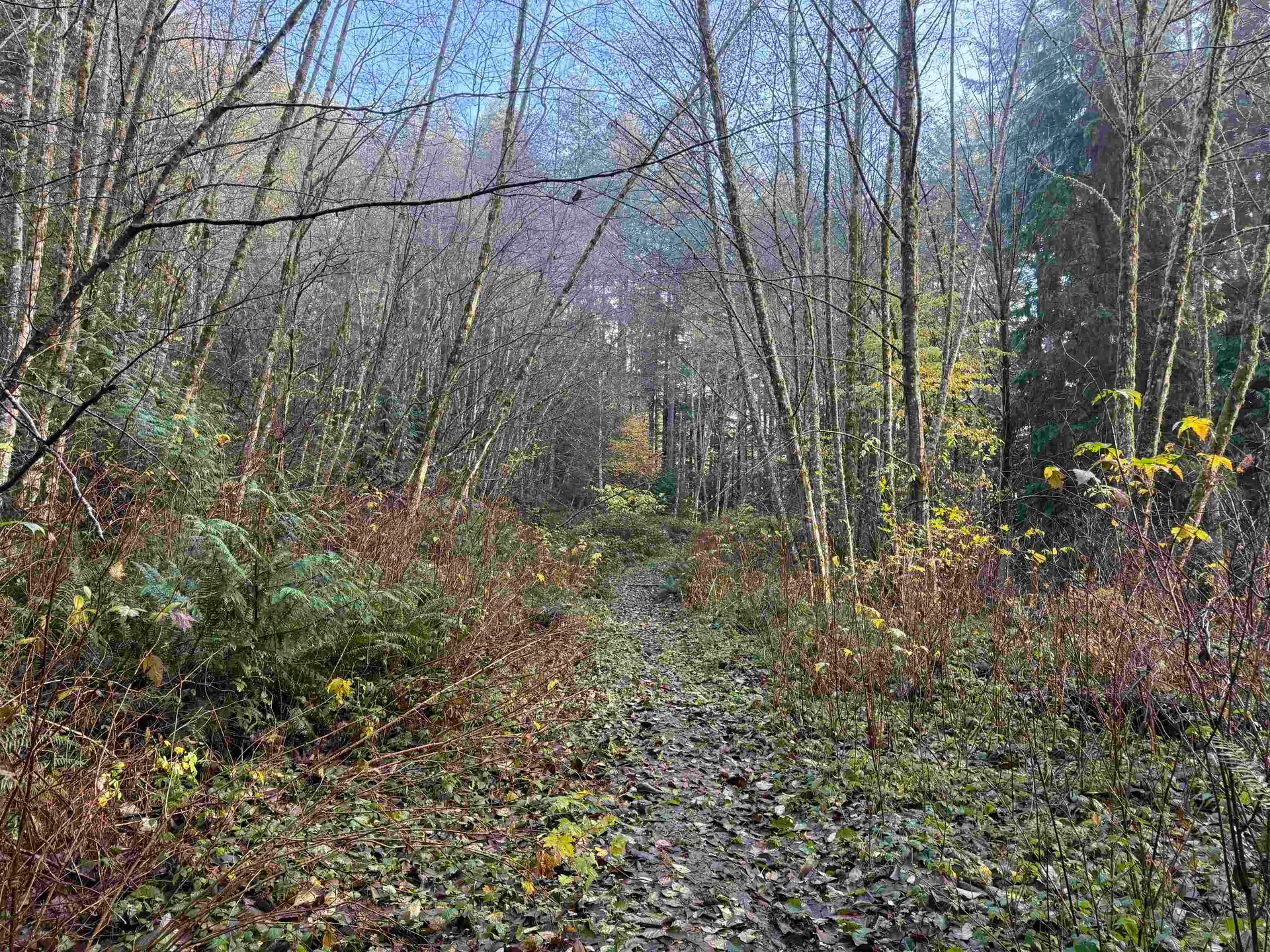 Property at 1594 CEMETERY ROAD, Gibsons, BC
